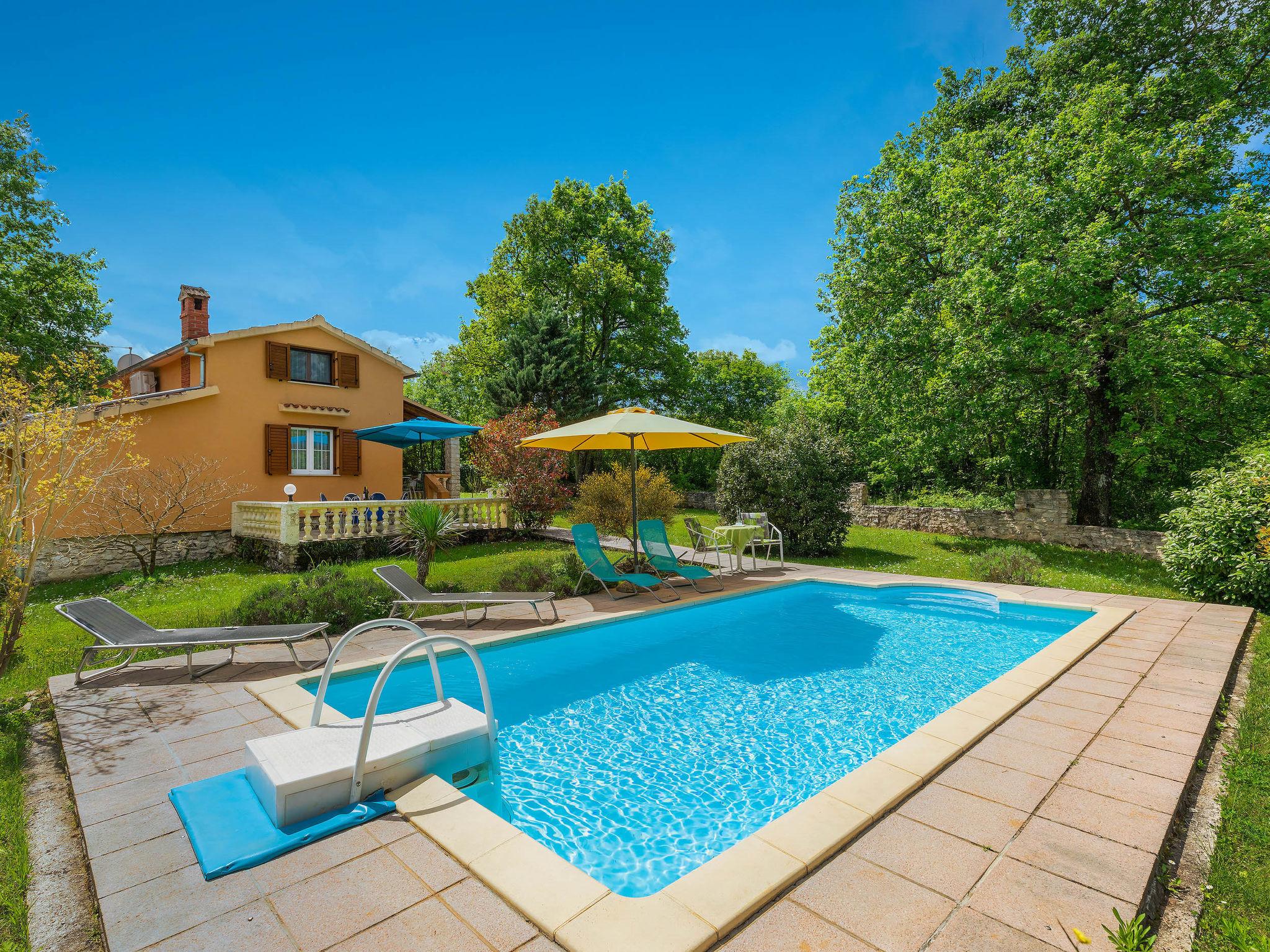 Foto 20 - Casa con 2 camere da letto a Žminj con piscina privata e vista mare