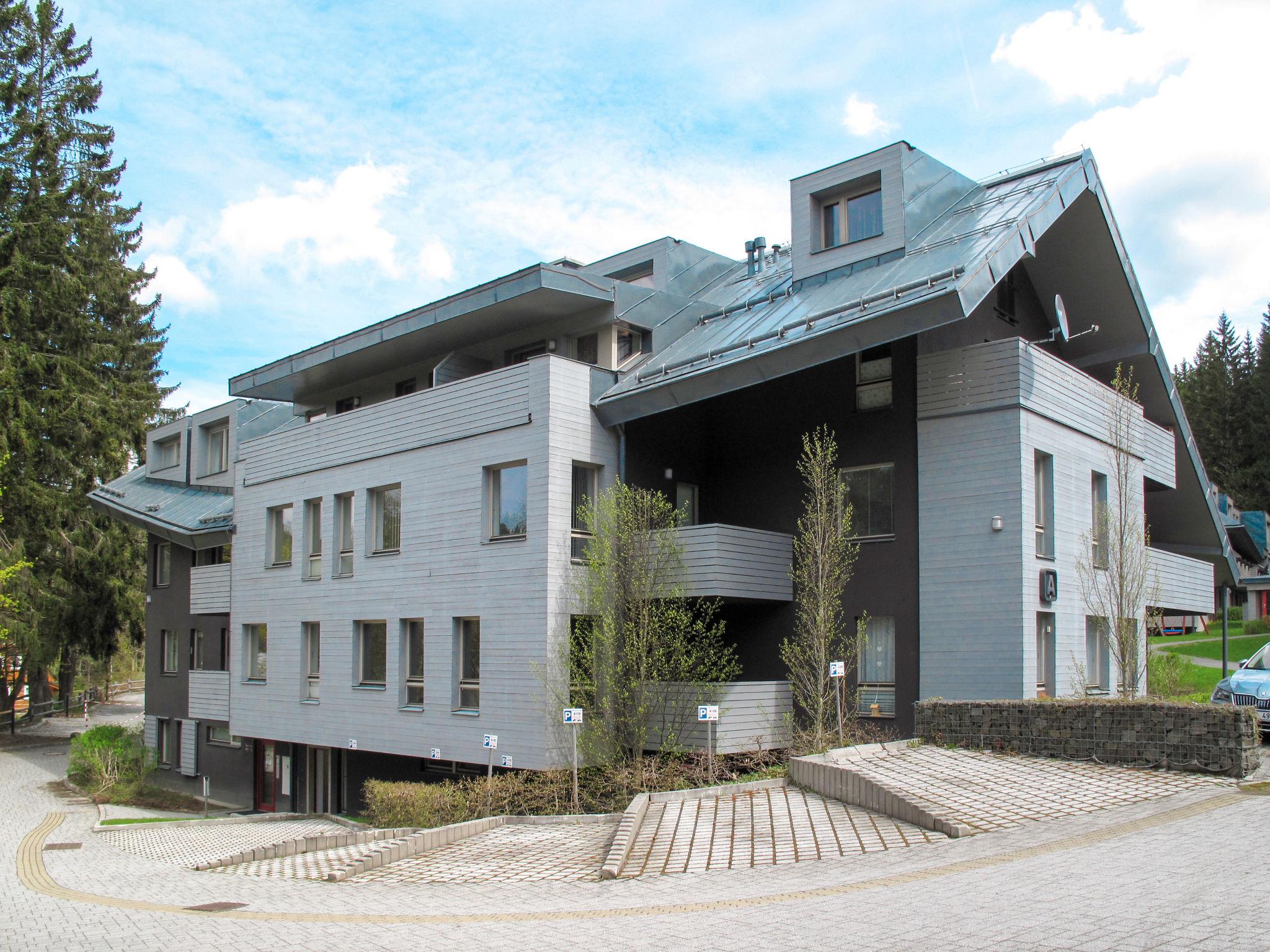 Photo 9 - Apartment in Harrachov with garden and sauna