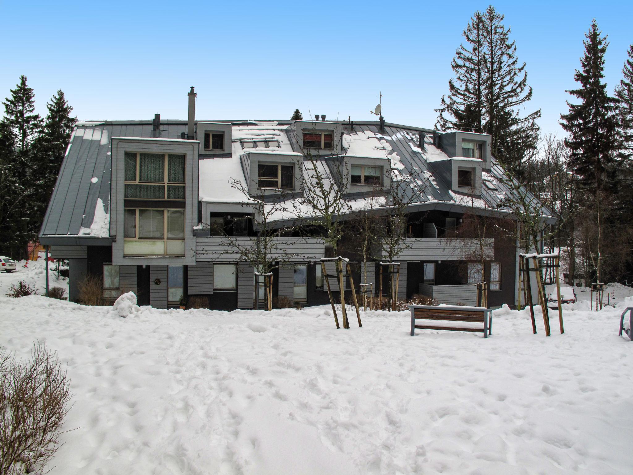 Photo 13 - Apartment in Harrachov with sauna and hot tub