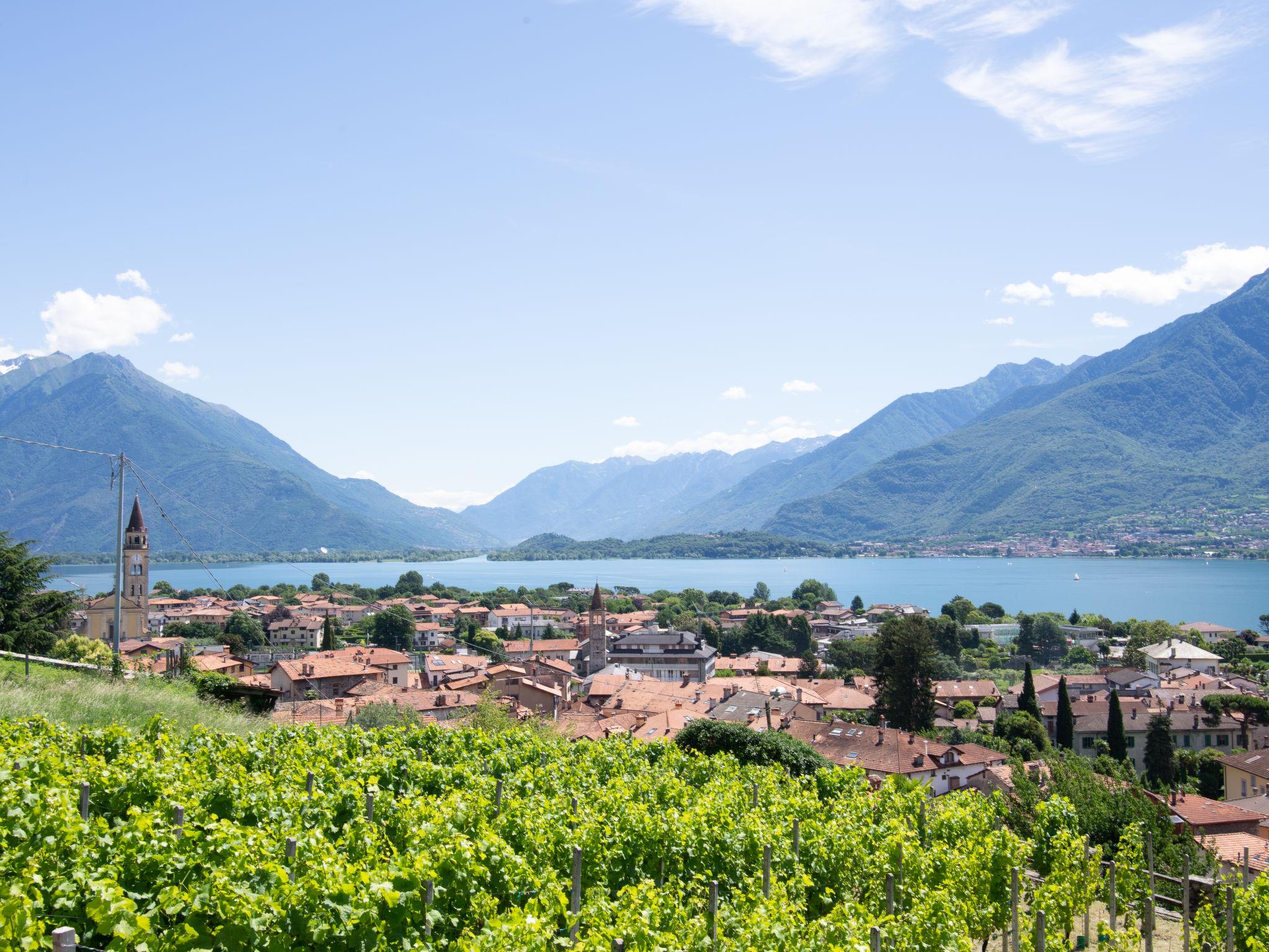 Foto 18 - Appartamento con 1 camera da letto a Domaso con terrazza e vista sulle montagne