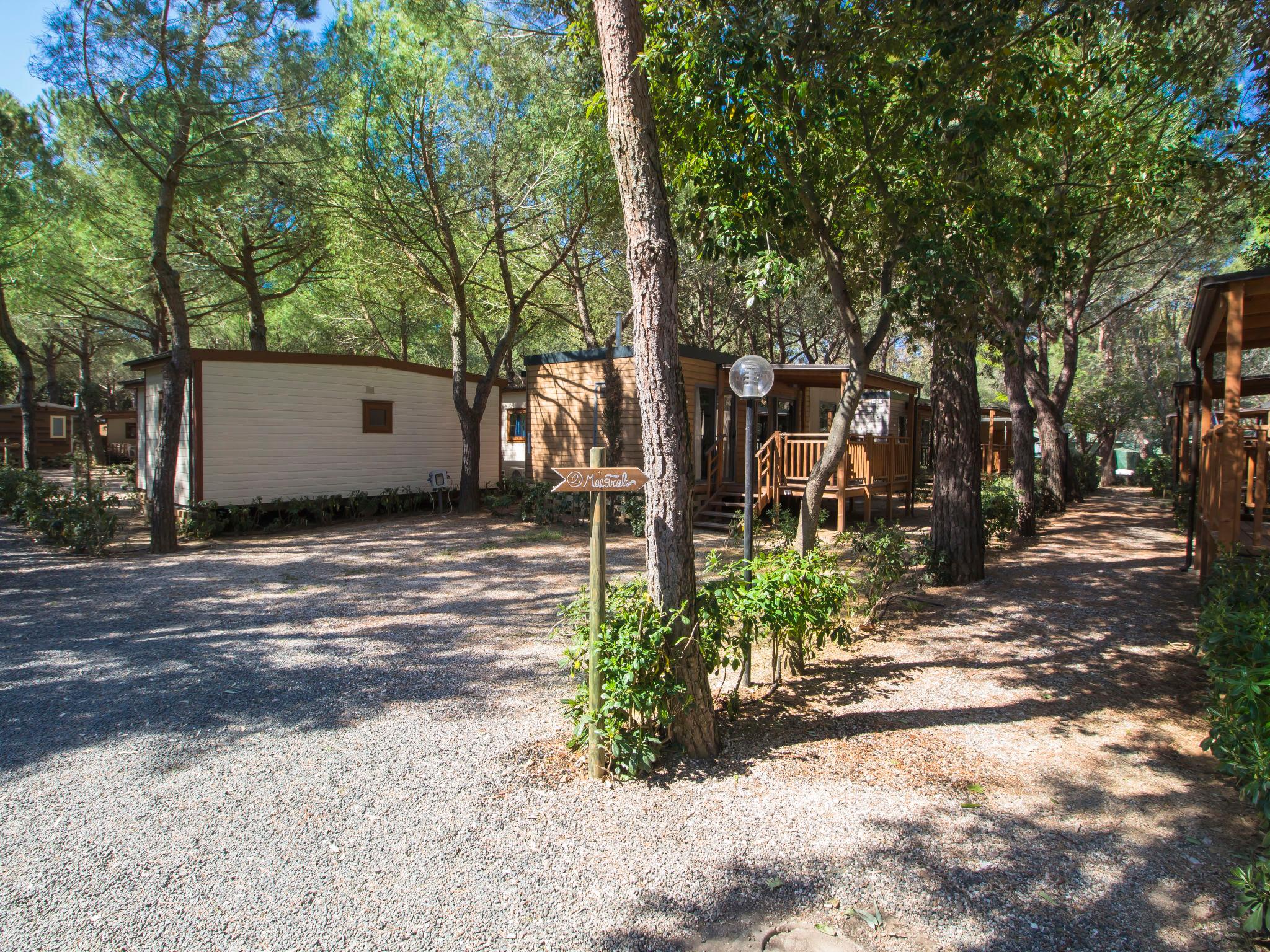 Photo 11 - Maison de 2 chambres à Bibbona avec piscine et jardin