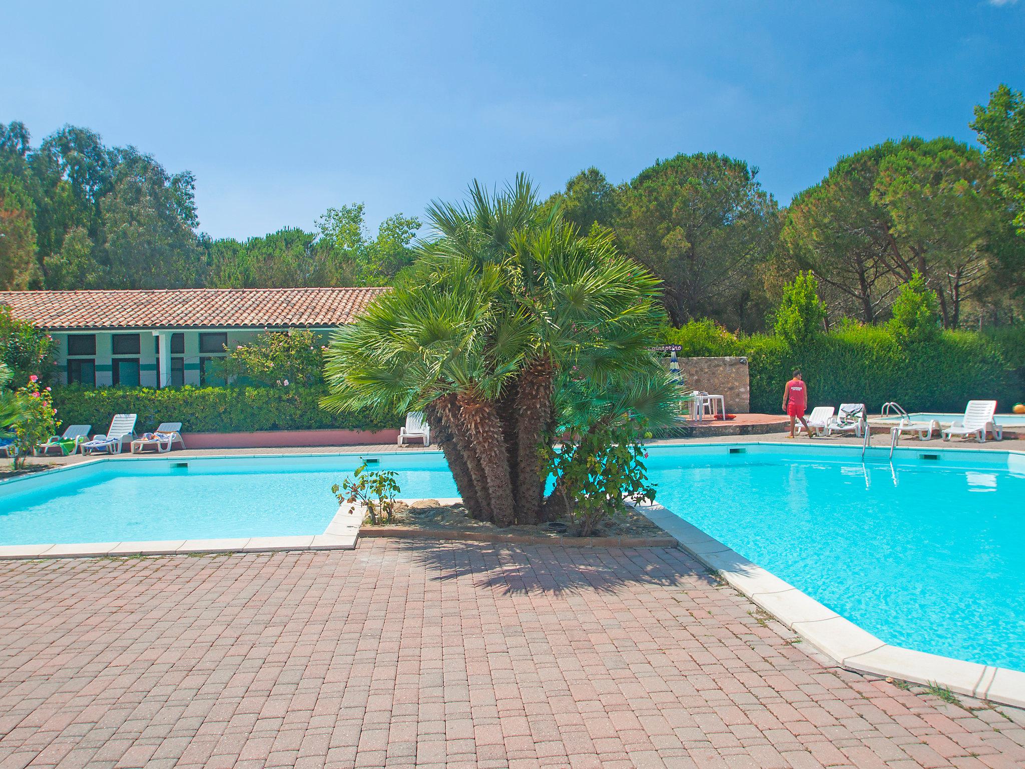 Photo 9 - Maison de 2 chambres à Bibbona avec piscine et jardin