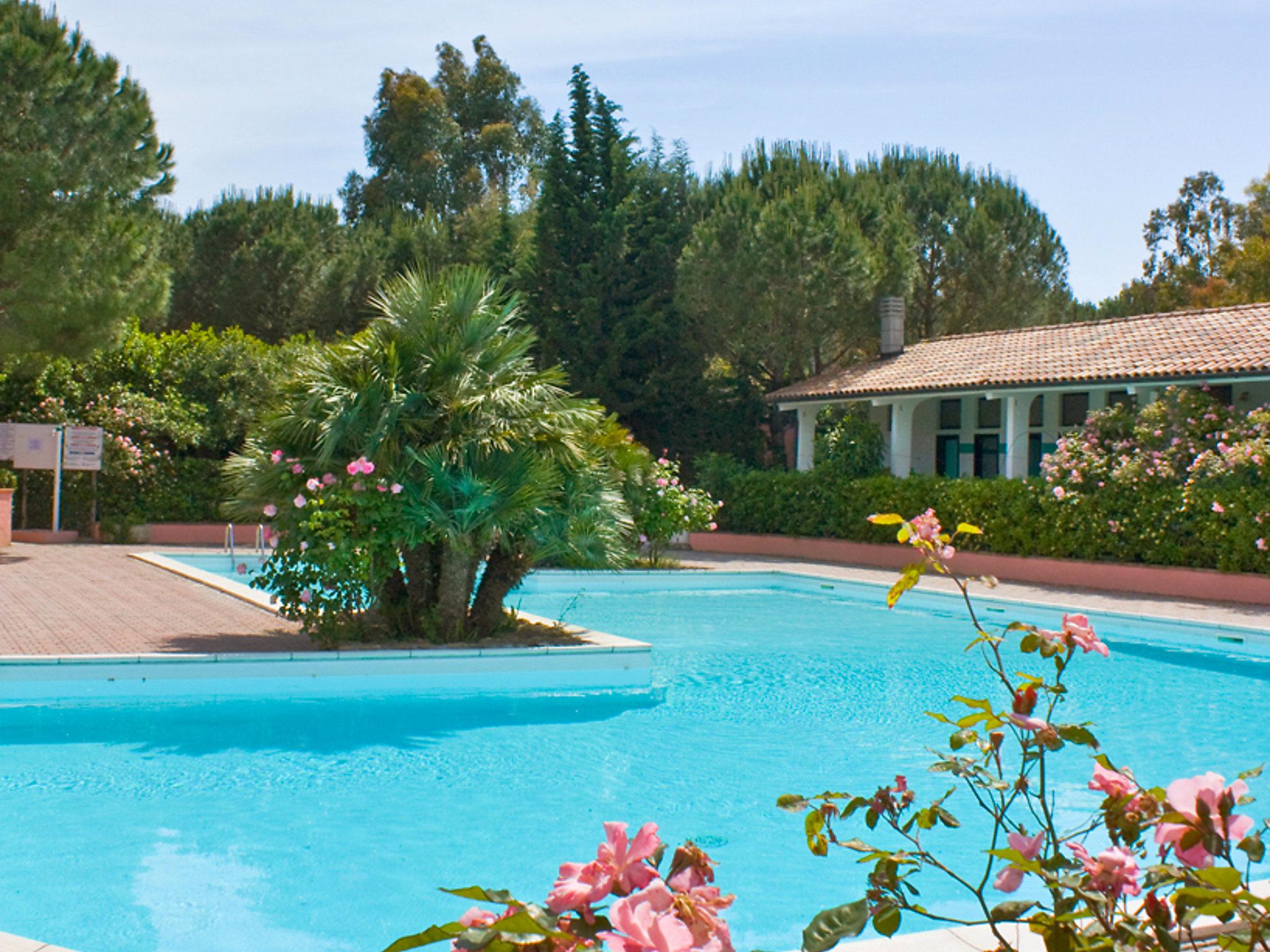 Photo 15 - Maison en Bibbona avec piscine et jardin