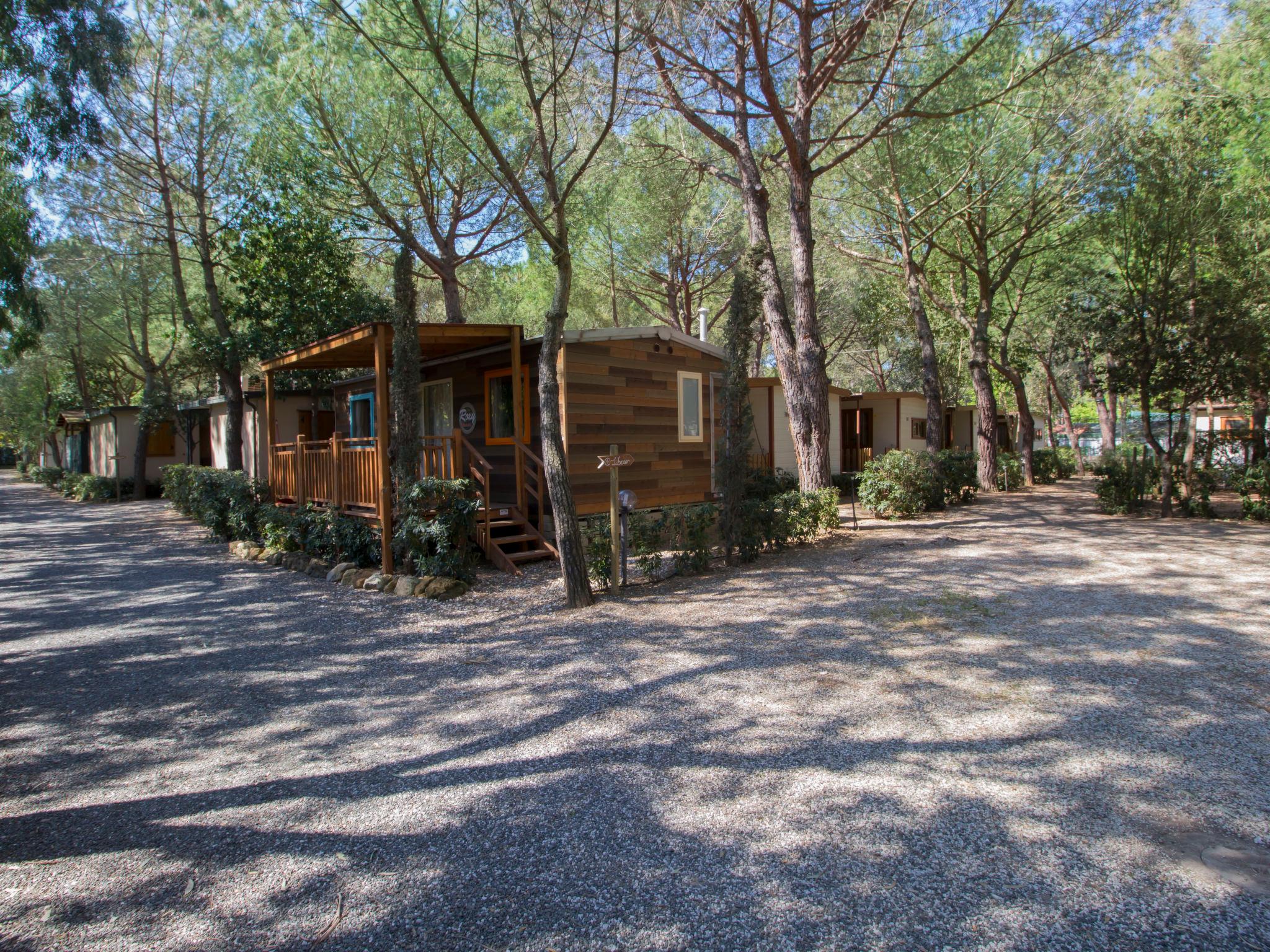 Photo 12 - Maison en Bibbona avec piscine et jardin