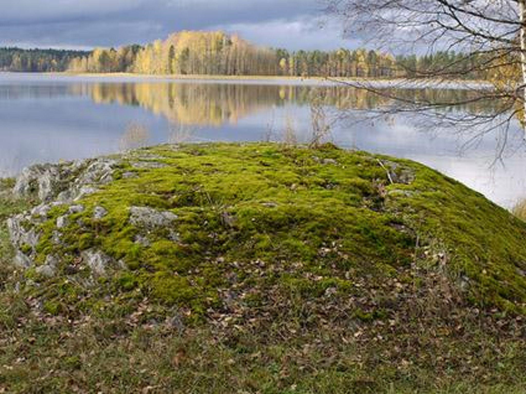 Photo 12 - Maison de 1 chambre à Asikkala avec sauna