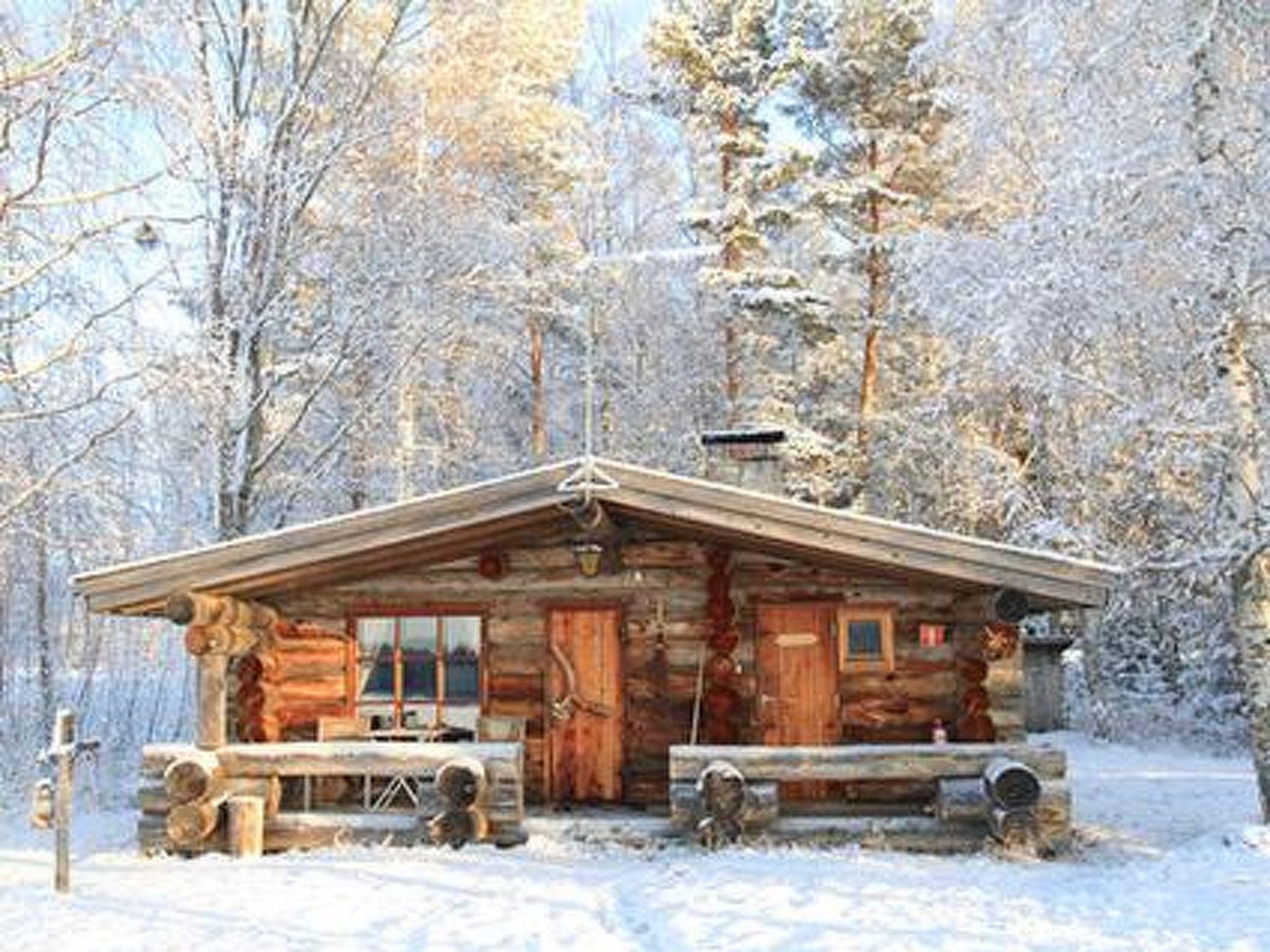 Foto 17 - Haus mit 1 Schlafzimmer in Asikkala mit sauna