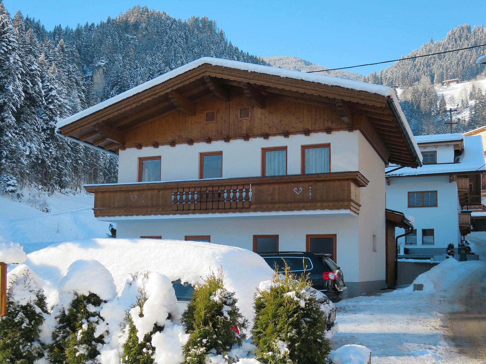 Foto 28 - Apartamento de 2 habitaciones en Schwendau con vistas a la montaña