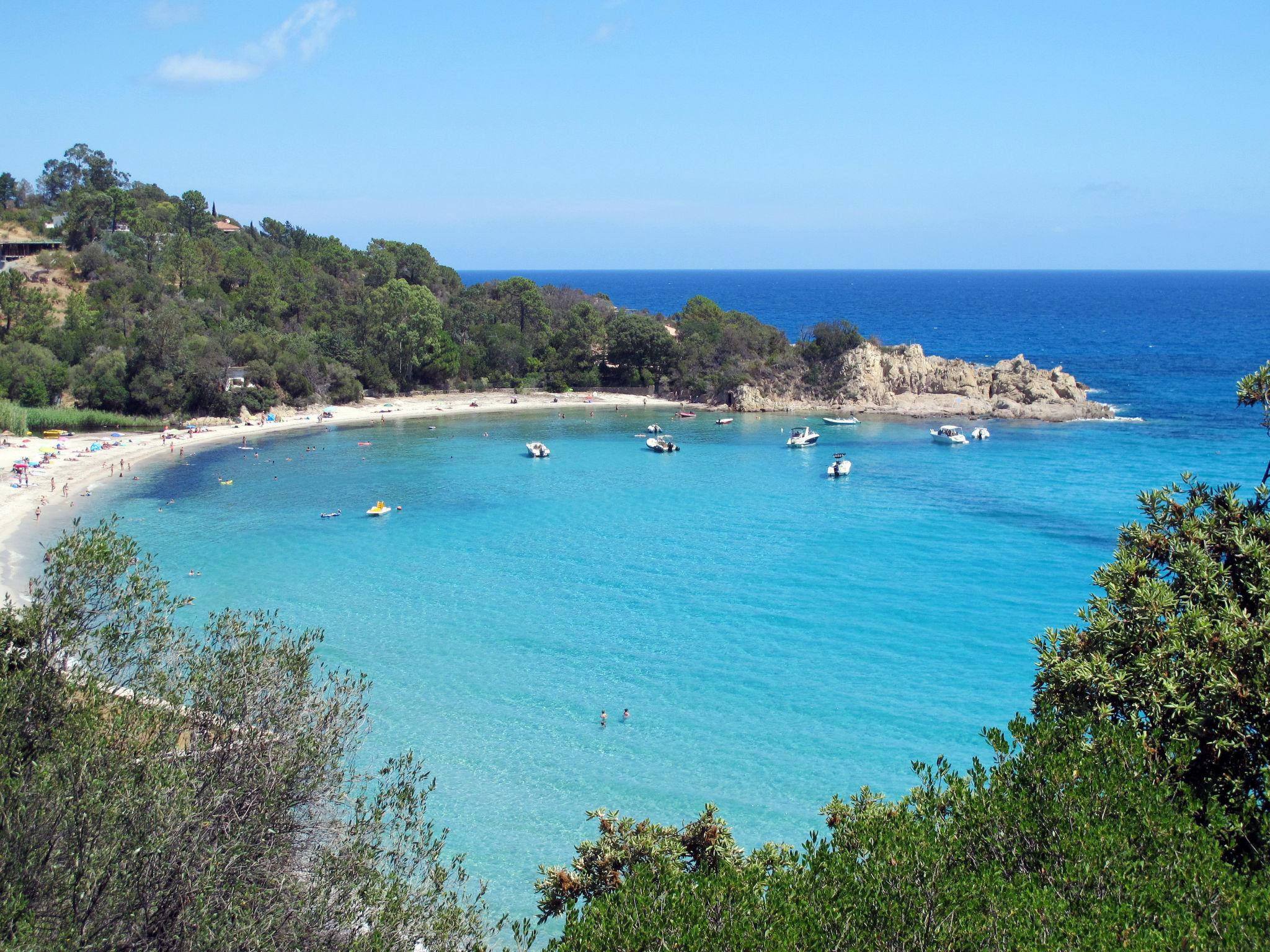 Photo 12 - Maison de 2 chambres à Sari-Solenzara avec piscine et vues à la mer