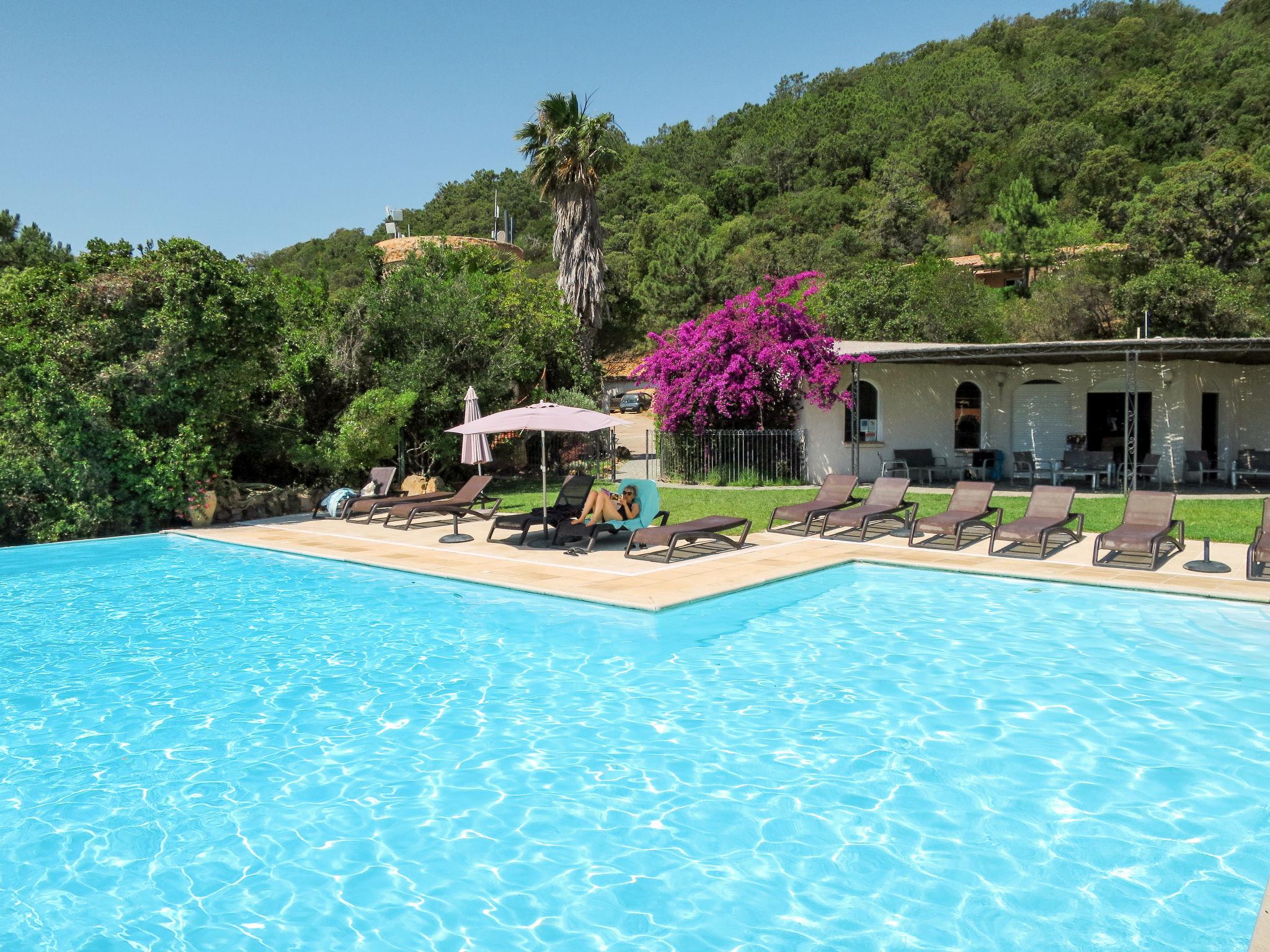 Foto 10 - Casa con 2 camere da letto a Sari-Solenzara con piscina e vista mare