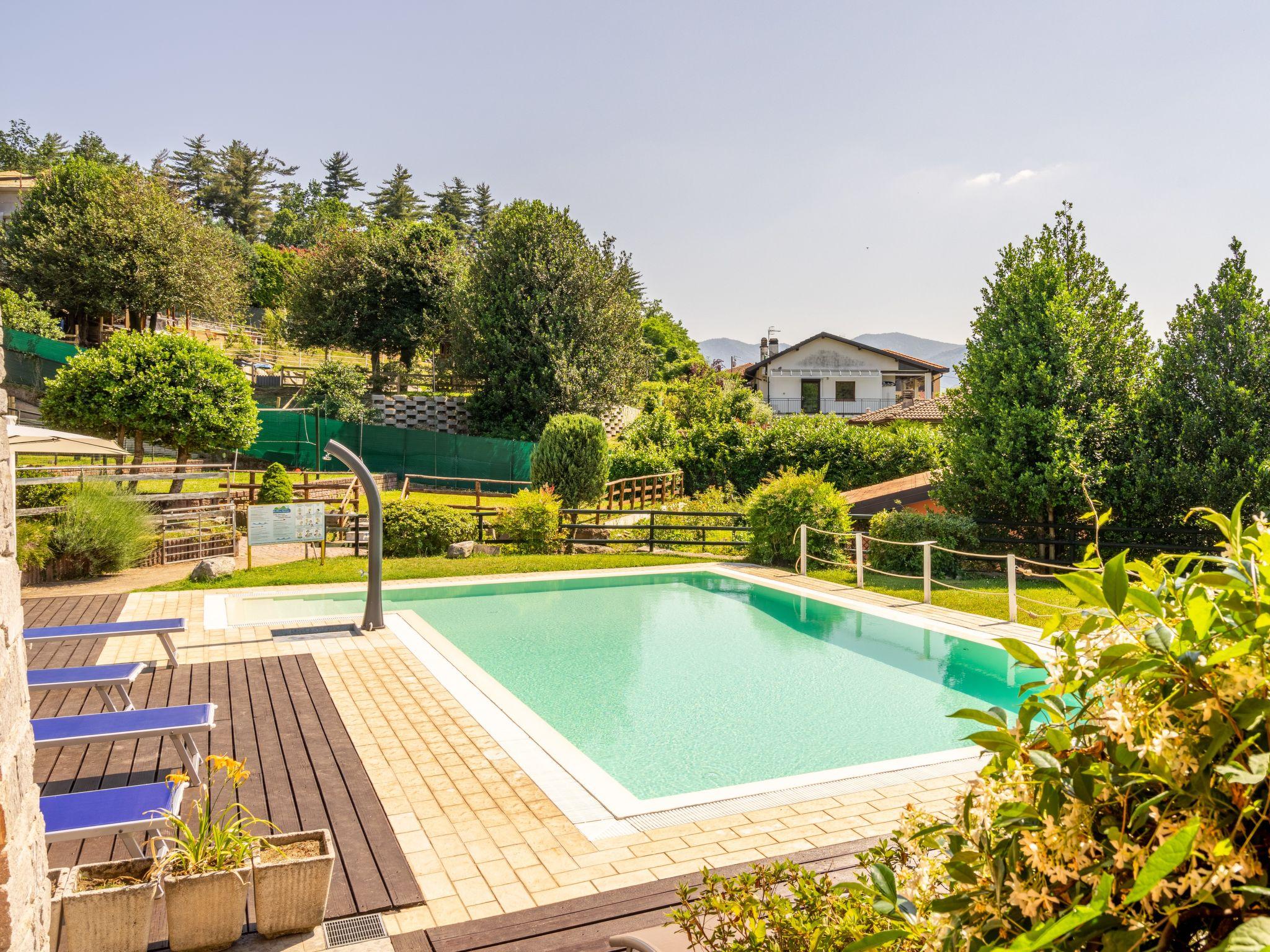 Foto 3 - Appartamento con 2 camere da letto a Luino con piscina e vista sulle montagne