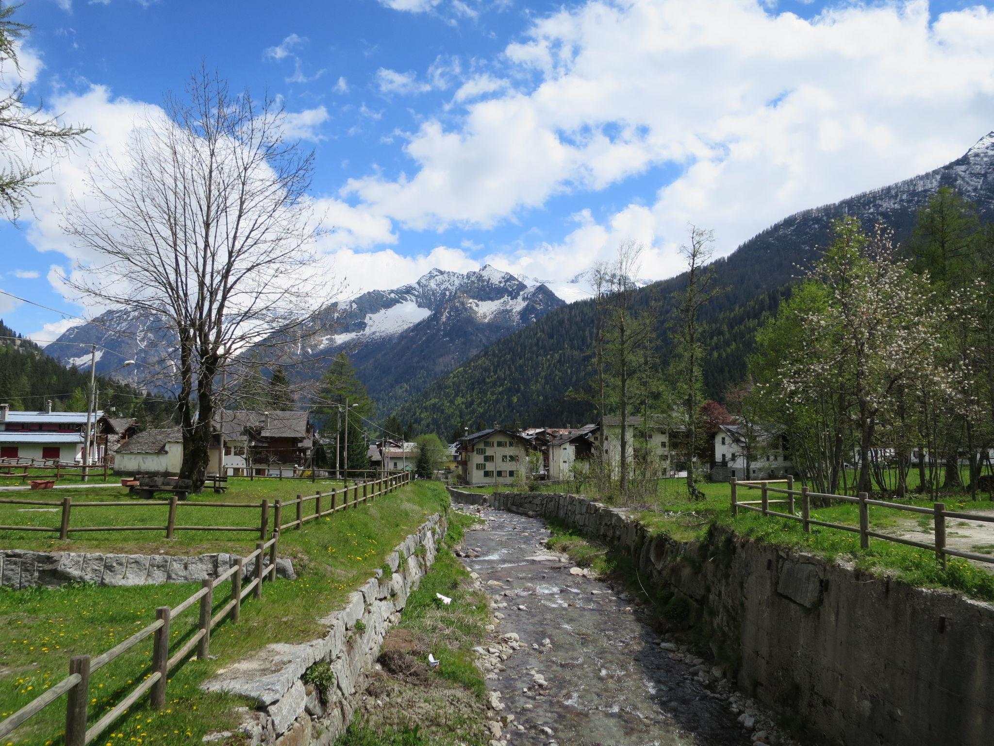 Photo 25 - 1 bedroom Apartment in Calasca Castiglione with garden