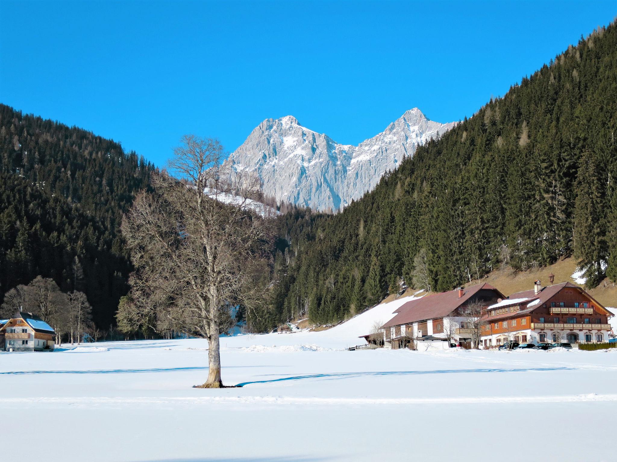 Foto 24 - Appartamento con 2 camere da letto a Ramsau am Dachstein con vista sulle montagne