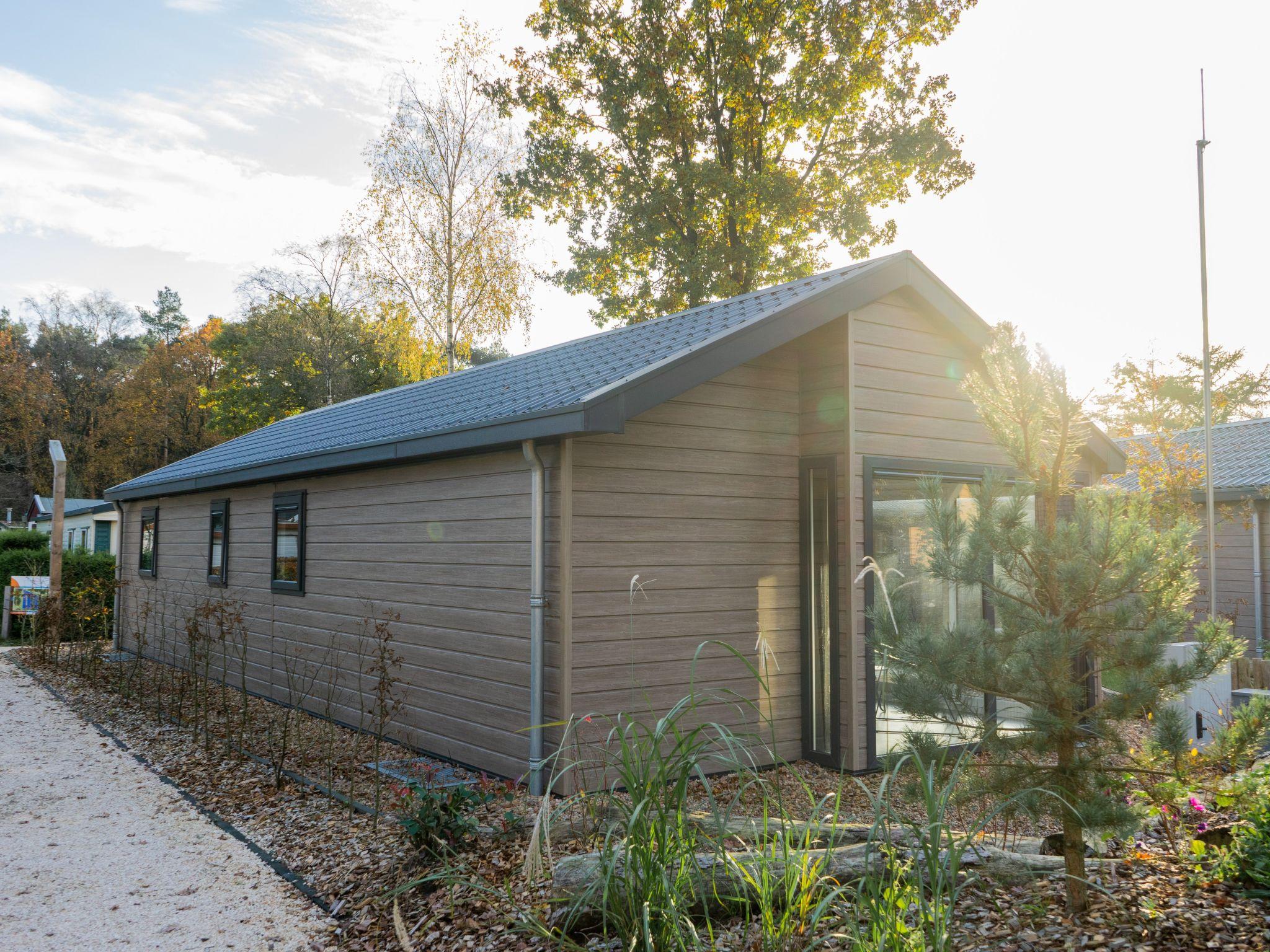 Foto 2 - Haus mit 2 Schlafzimmern in Otterlo mit schwimmbad und terrasse