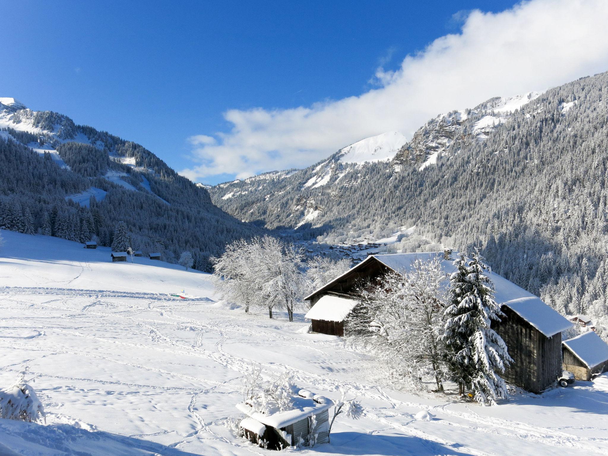 Photo 16 - Appartement de 3 chambres à Châtel avec piscine et vues sur la montagne