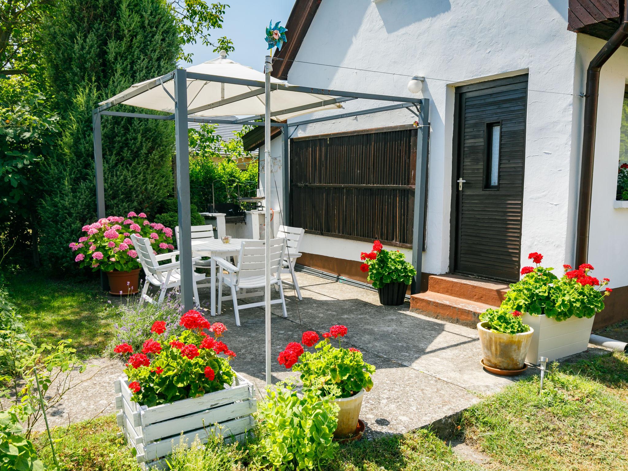 Foto 17 - Casa con 4 camere da letto a Balatonfenyves con giardino e terrazza