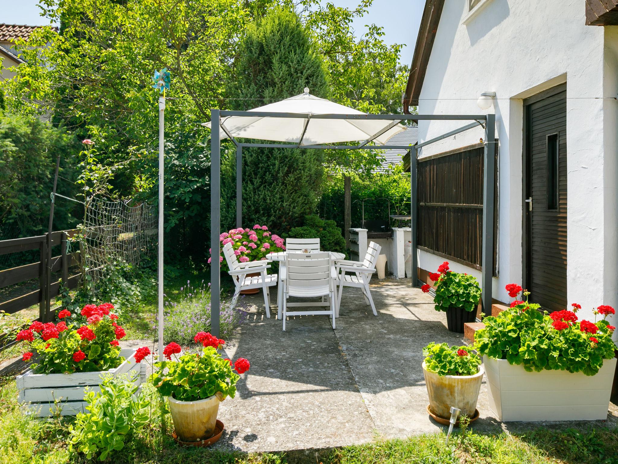 Foto 16 - Casa con 4 camere da letto a Balatonfenyves con giardino e terrazza