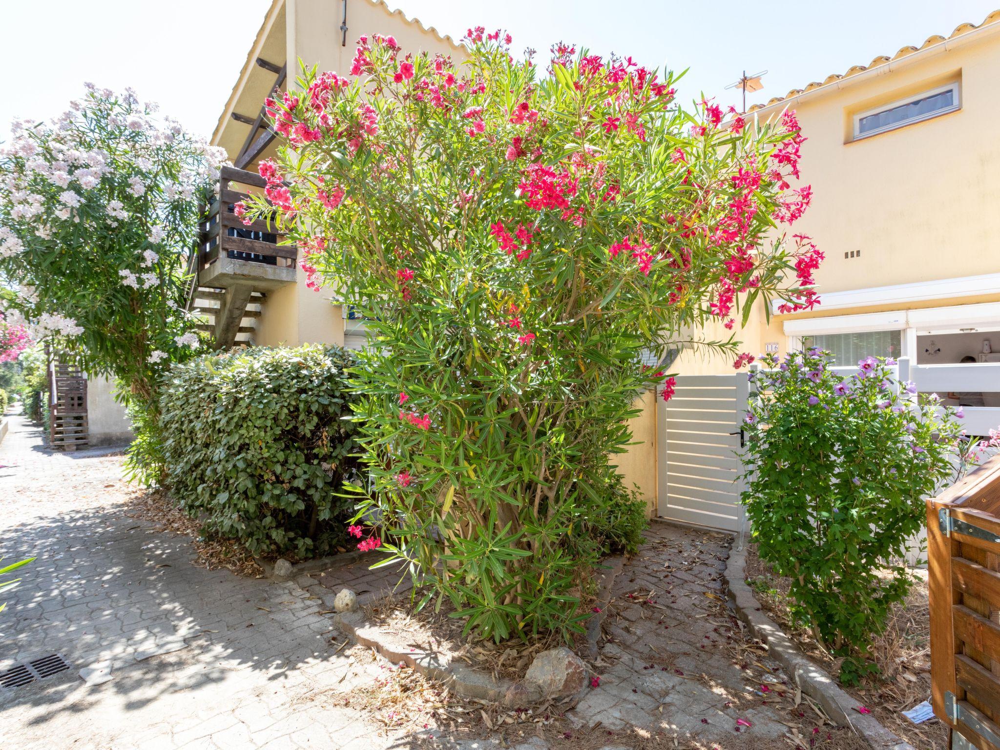 Photo 2 - 1 bedroom Apartment in Le Barcarès with terrace and sea view