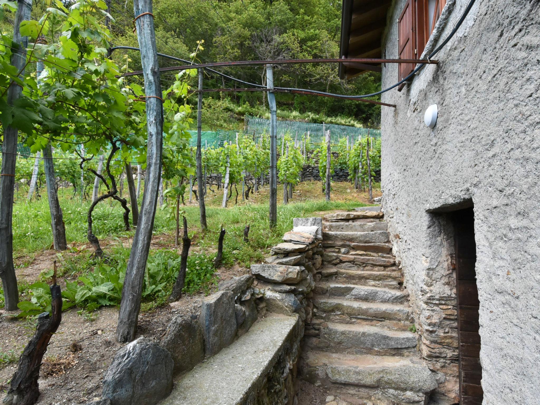 Photo 20 - Maison de 3 chambres à Civo avec jardin