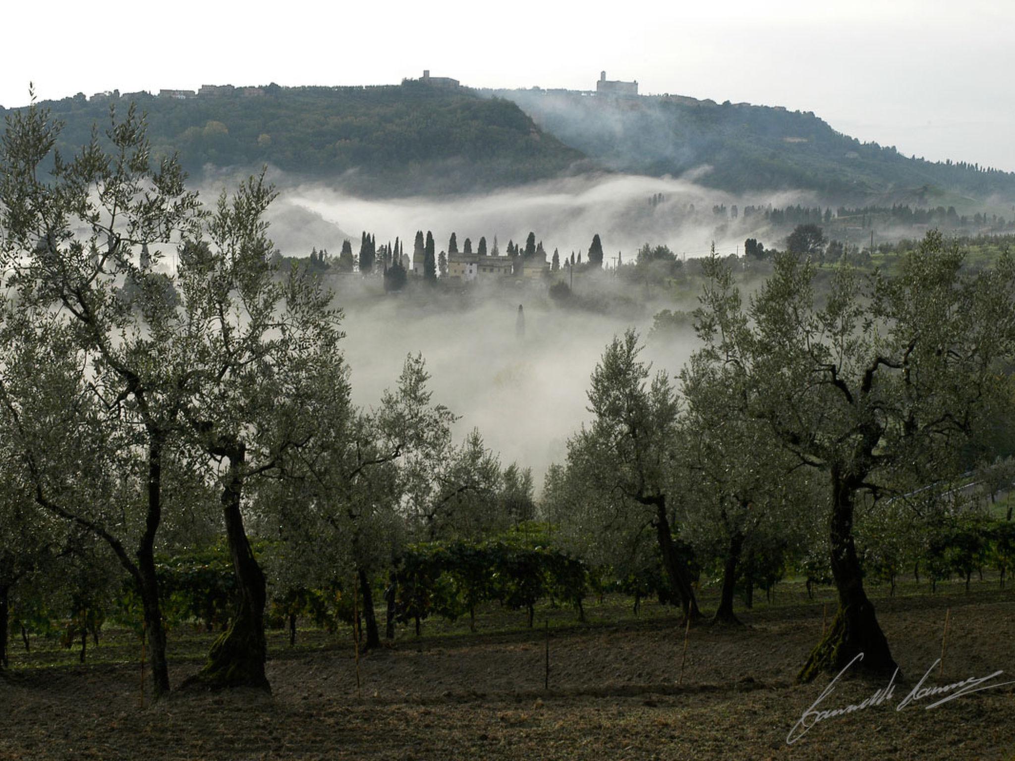 Photo 43 - 8 bedroom House in Volterra with private pool and garden