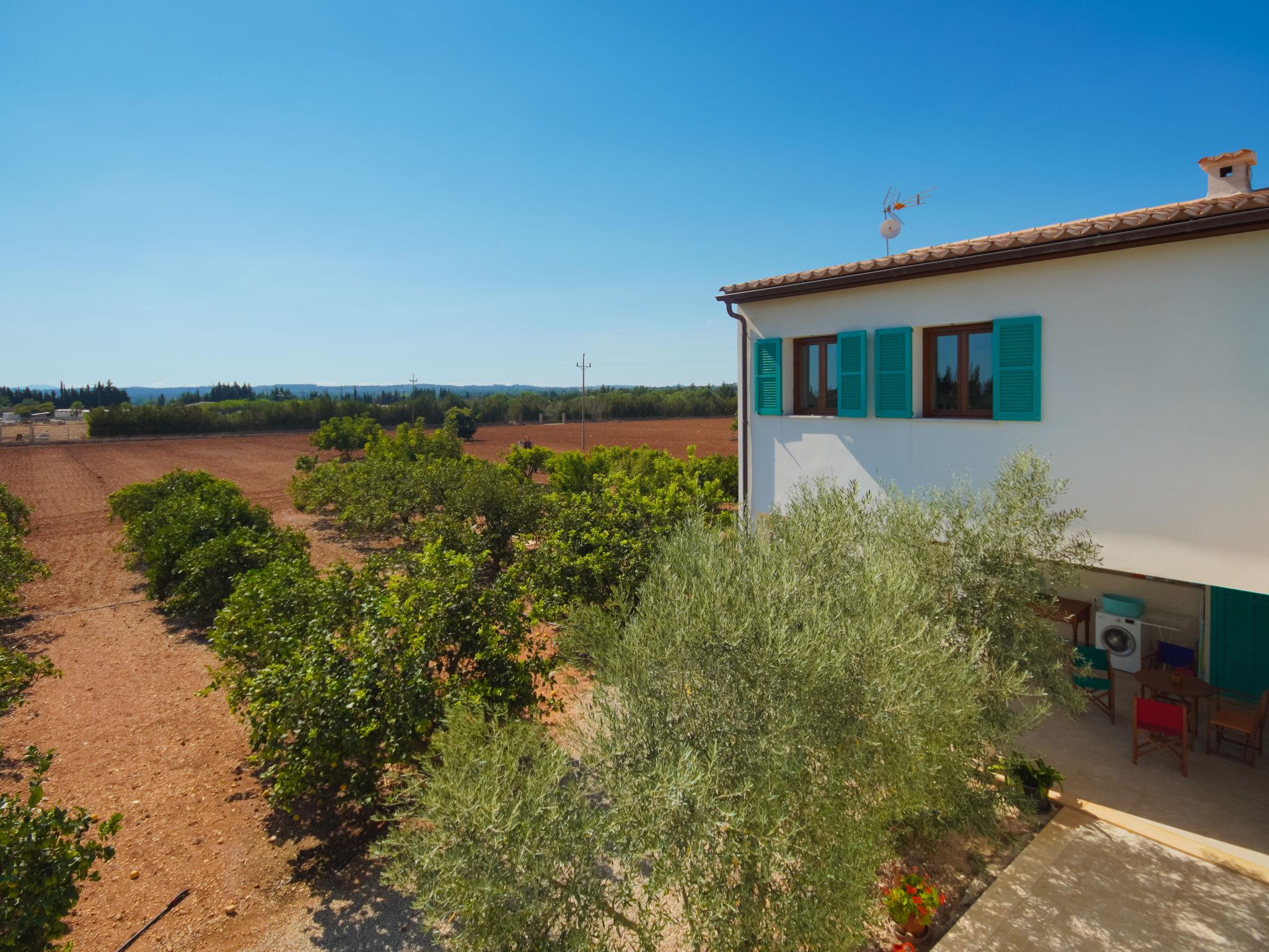 Photo 62 - 2 bedroom House in Inca with private pool and garden