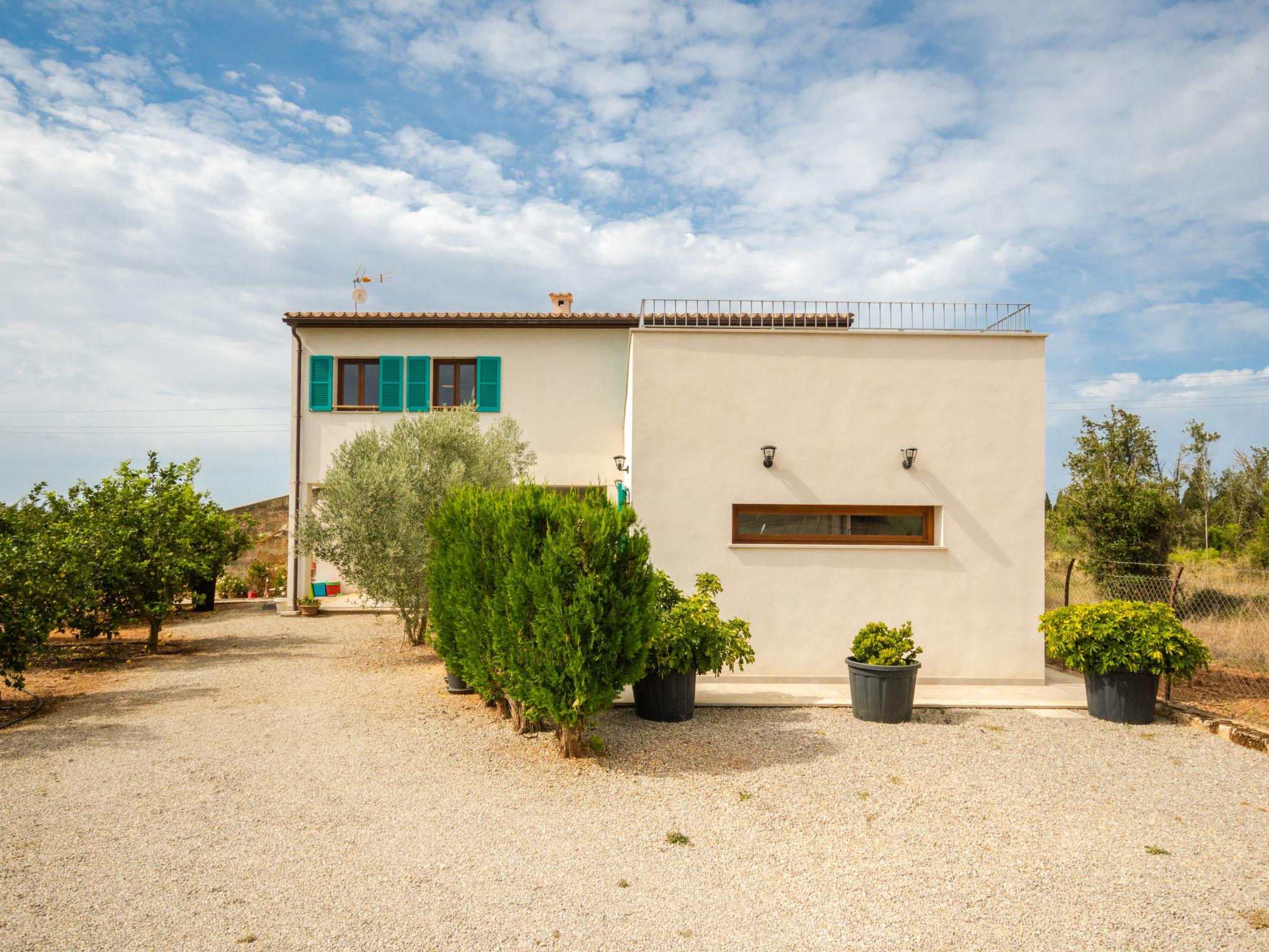 Foto 37 - Casa con 2 camere da letto a Inca con piscina privata e giardino