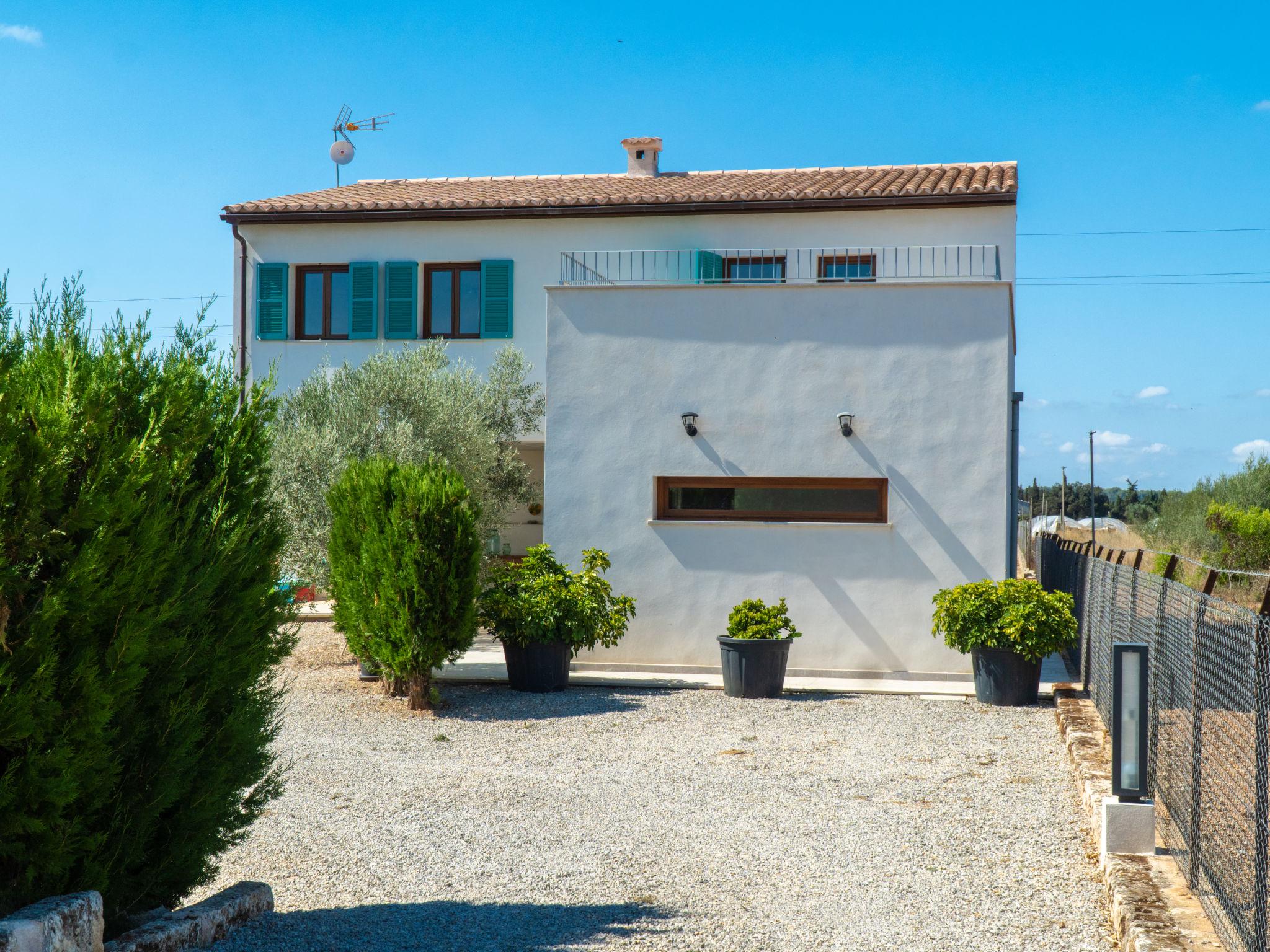 Foto 69 - Casa con 2 camere da letto a Inca con piscina privata e giardino