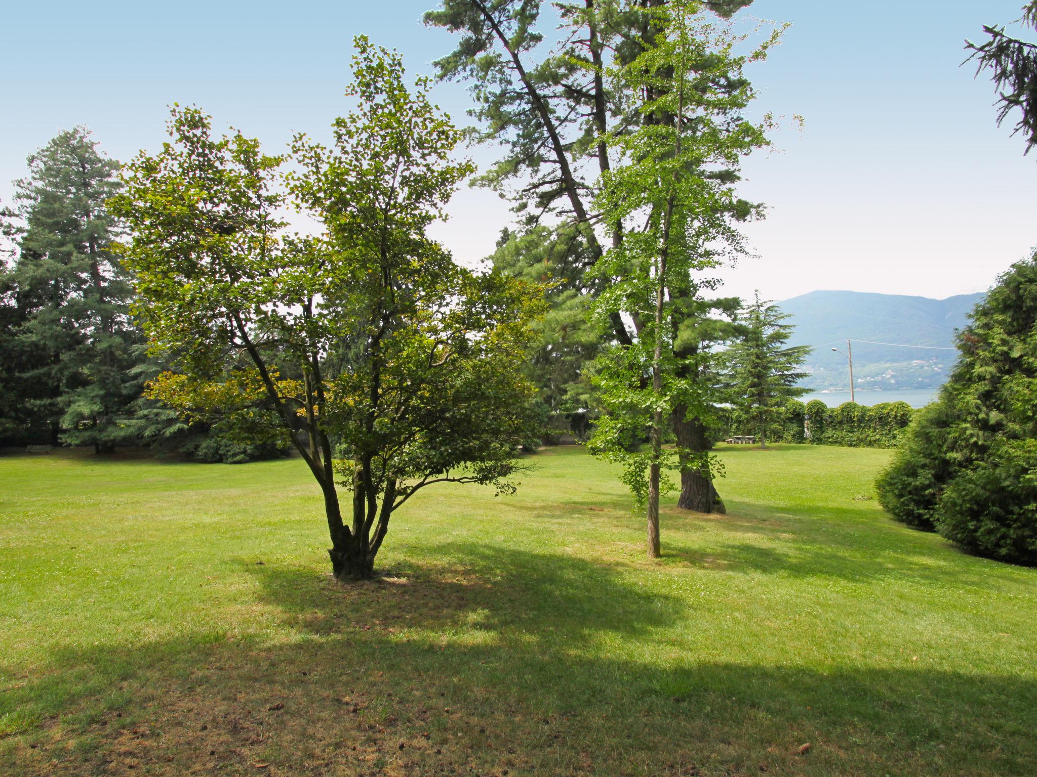 Photo 24 - 1 bedroom Apartment in Porto Valtravaglia with swimming pool and mountain view