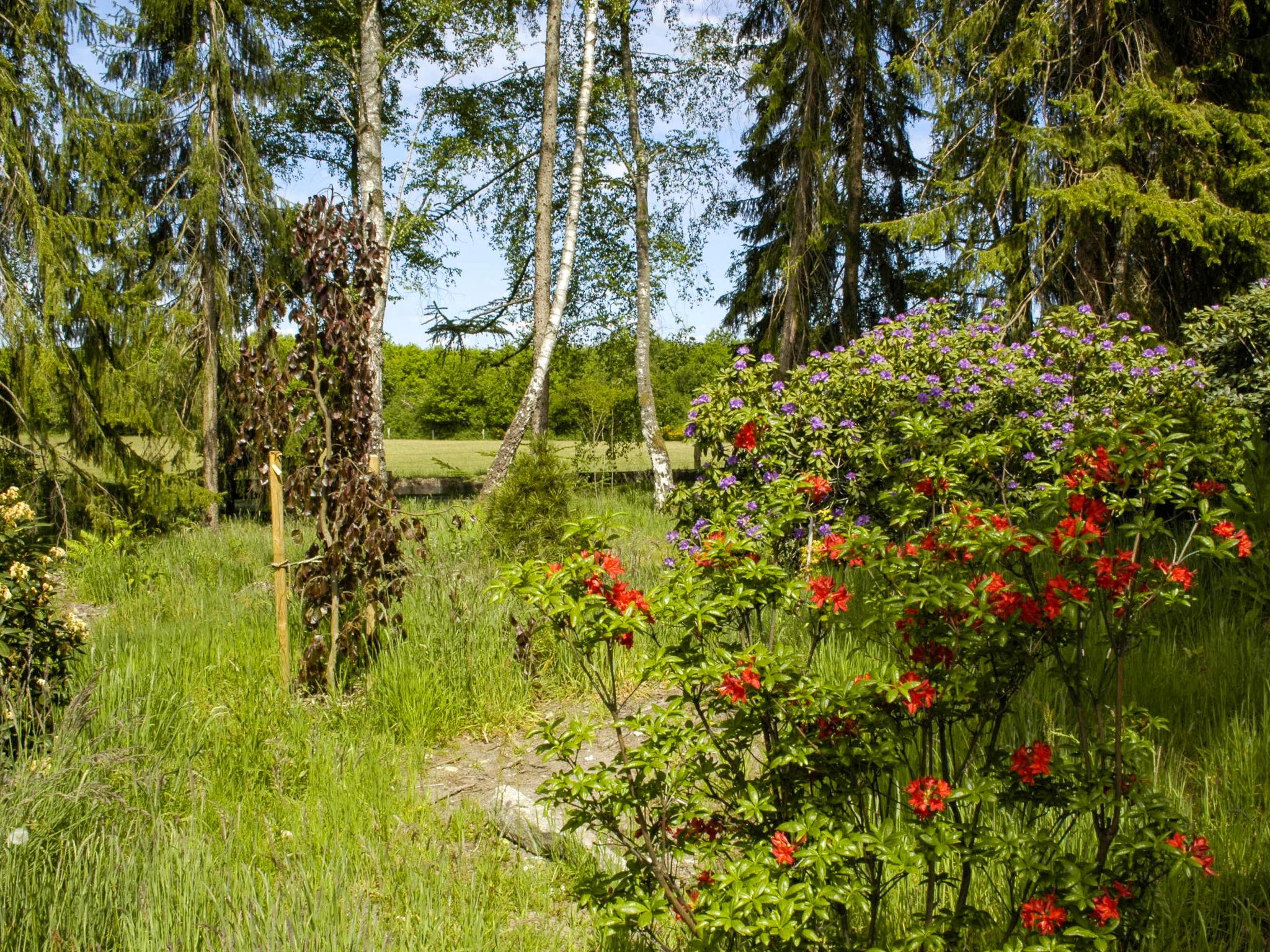 Photo 26 - Maison de 3 chambres à Großenkneten avec jardin et vues à la mer