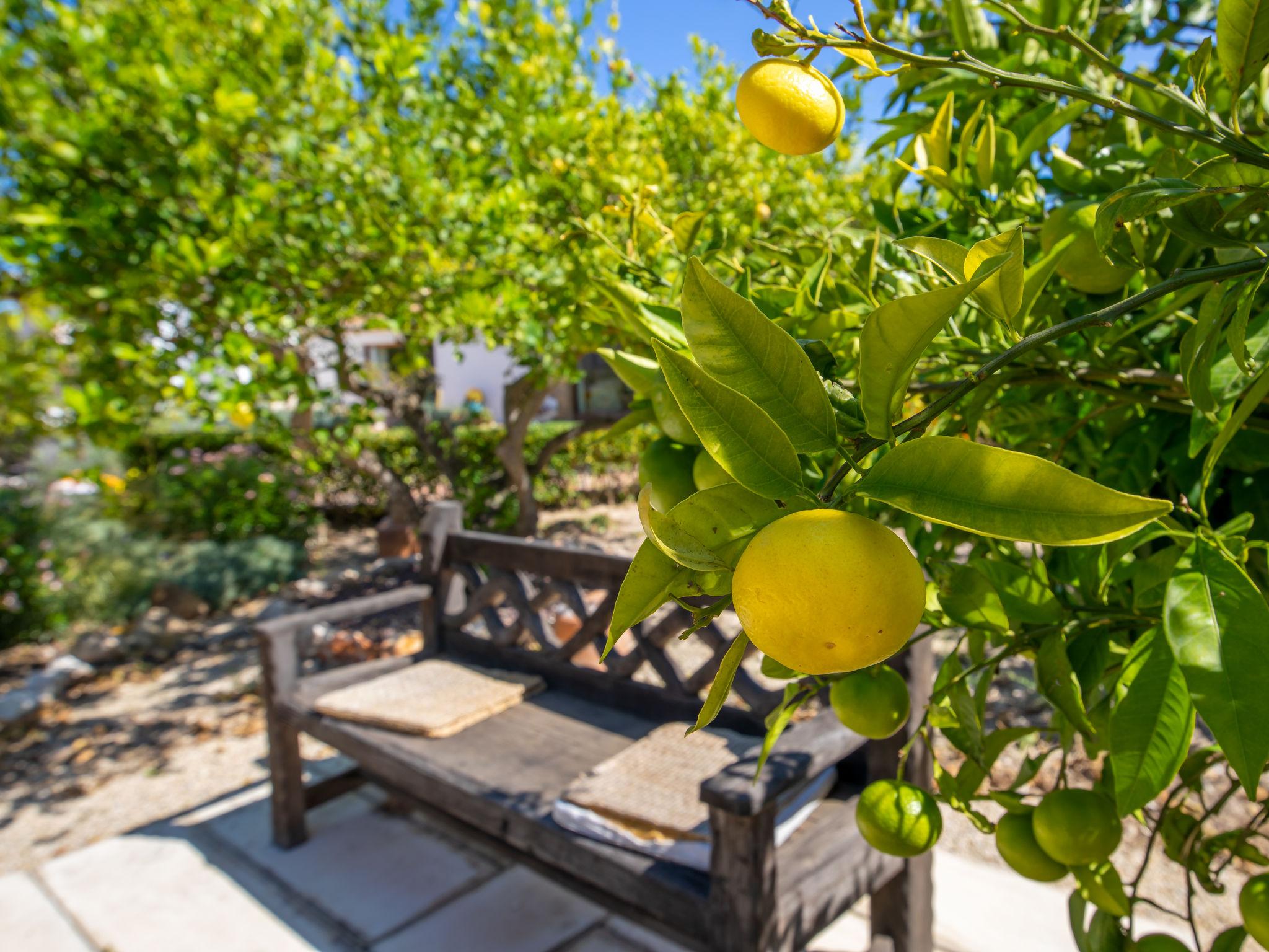 Foto 47 - Haus mit 3 Schlafzimmern in Jávea mit privater pool und garten