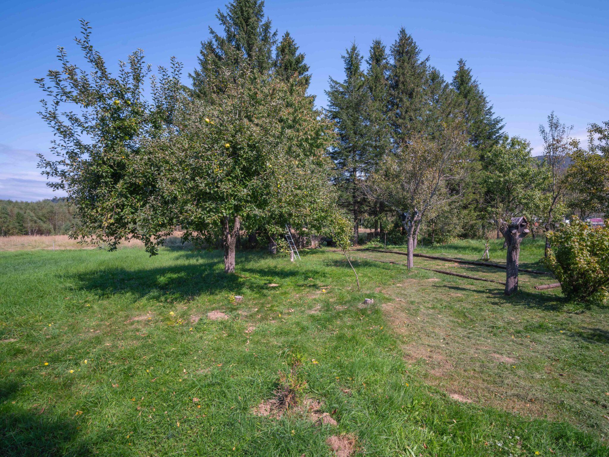 Foto 40 - Casa de 4 quartos em Fužine com piscina privada e jardim