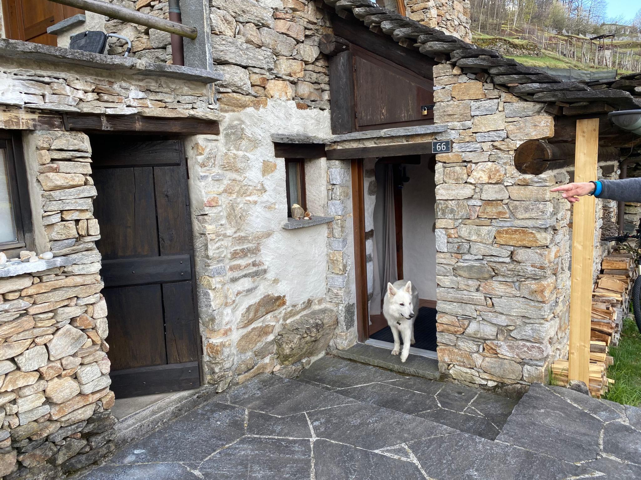 Photo 20 - Maison de 1 chambre à Serravalle avec terrasse et vues sur la montagne