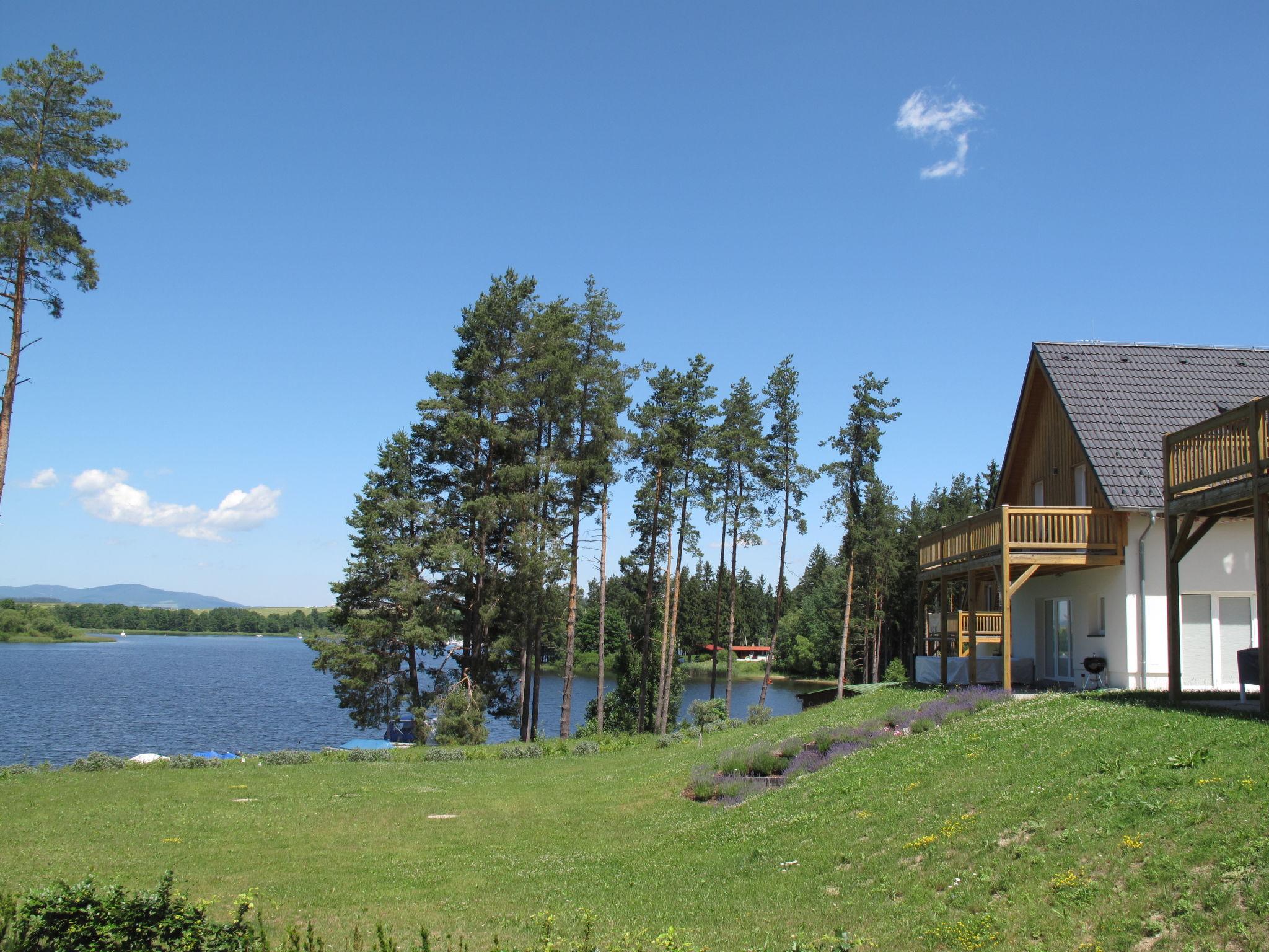 Foto 30 - Casa de 4 quartos em Frymburk com terraço e vista para a montanha