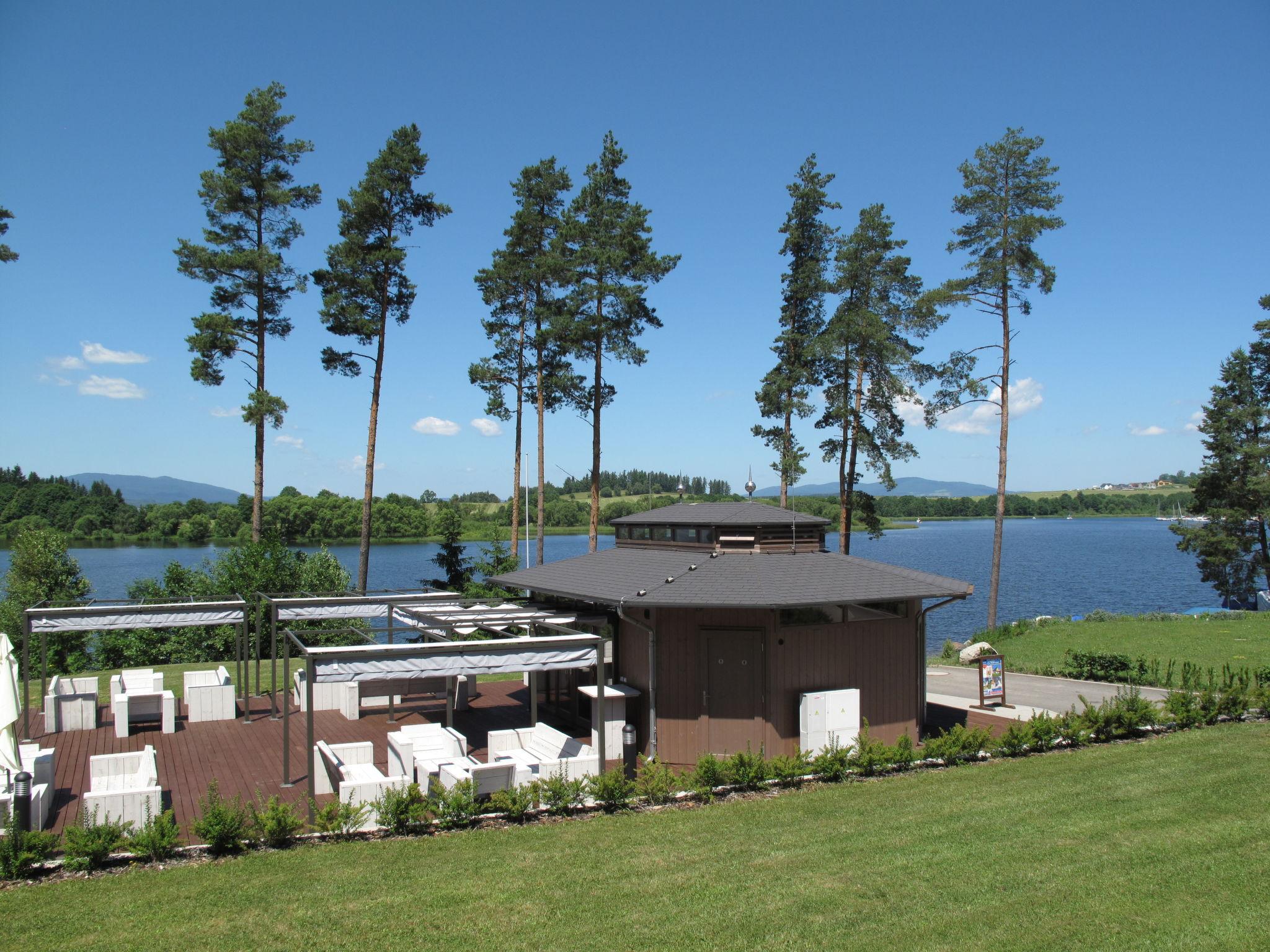 Foto 26 - Haus mit 5 Schlafzimmern in Frymburk mit terrasse und blick auf die berge