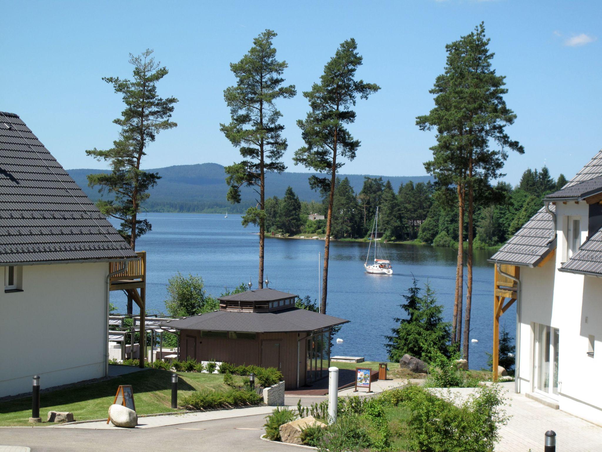 Foto 20 - Apartamento de 1 quarto em Frymburk com sauna e vista para a montanha