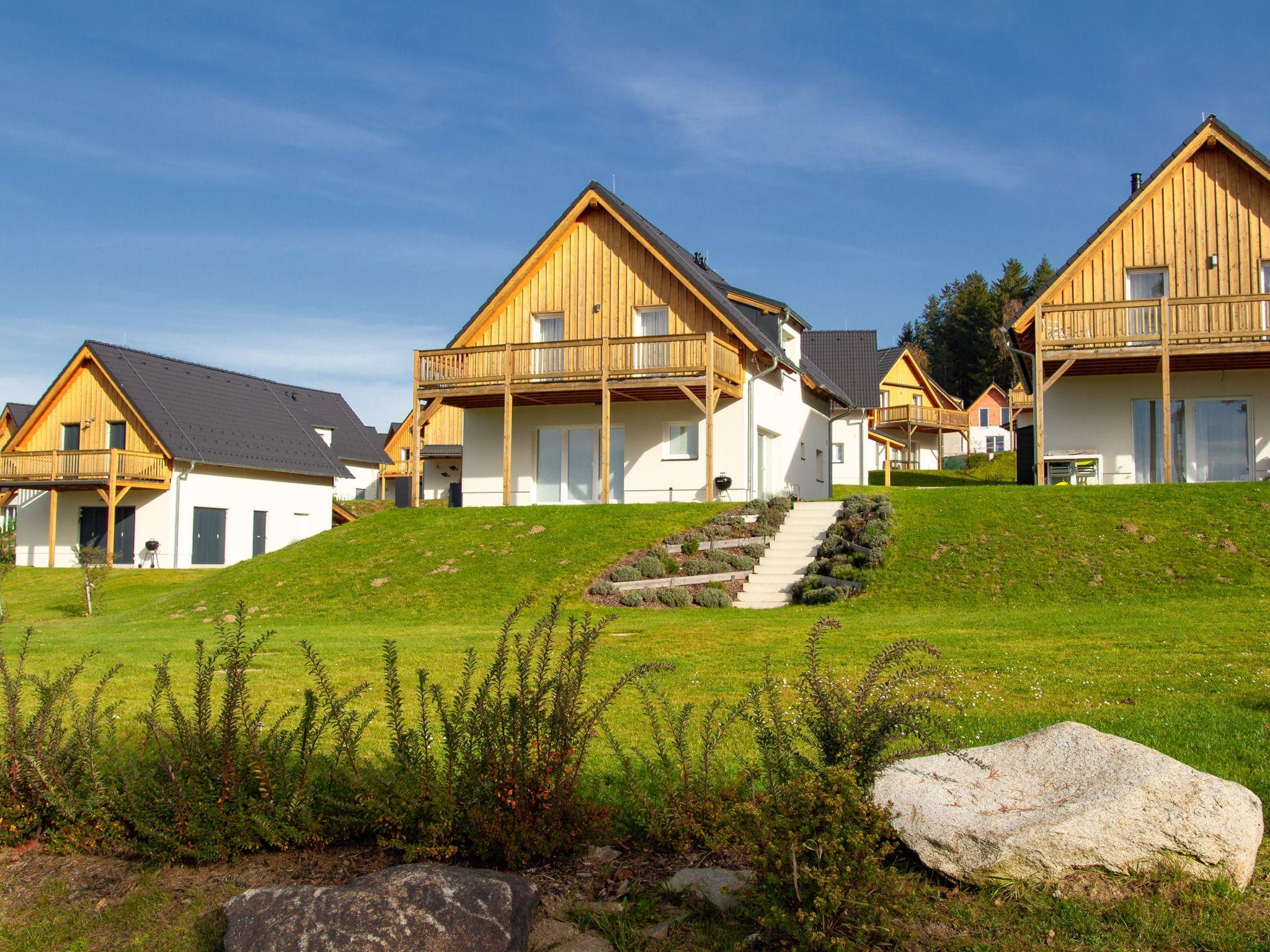 Foto 18 - Casa de 5 quartos em Frymburk com terraço e vista para a montanha