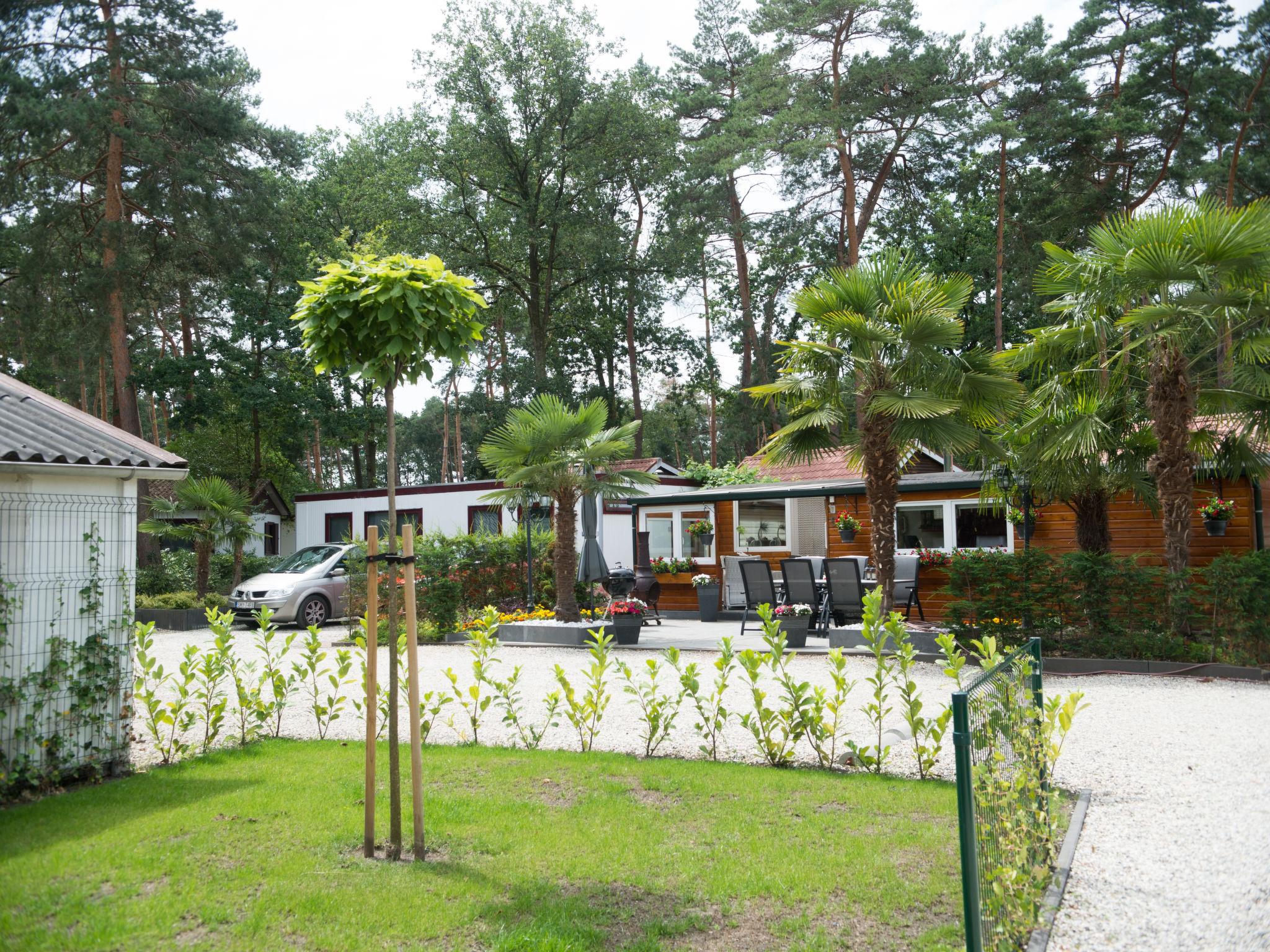 Photo 3 - Maison de 3 chambres à Schinveld avec jardin et terrasse