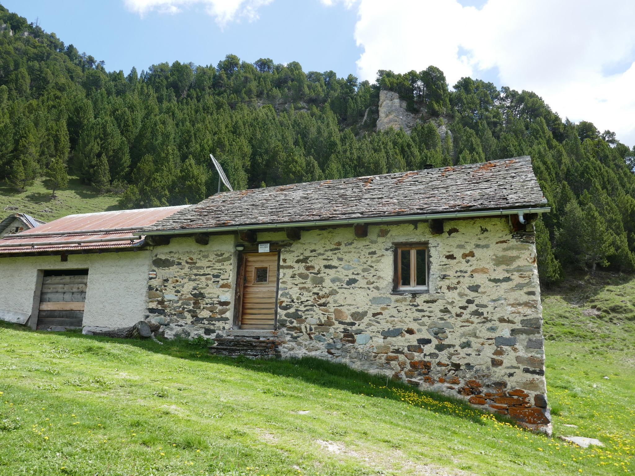 Photo 20 - Maison de 1 chambre à Blenio avec jardin