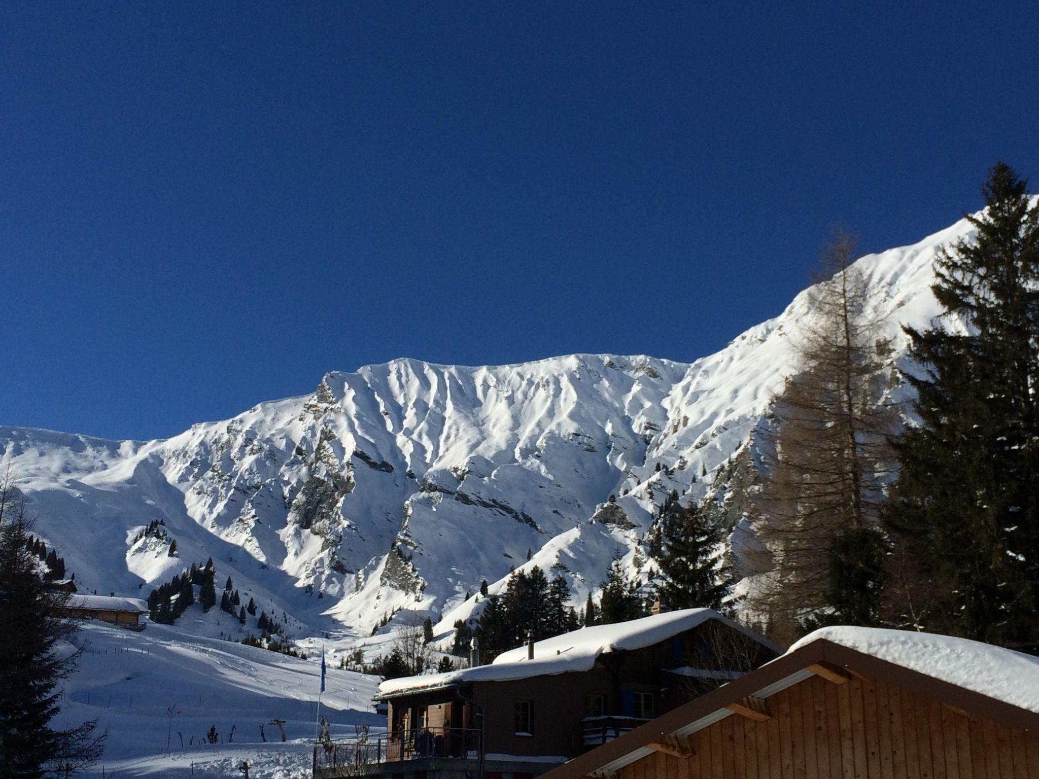 Photo 49 - 2 bedroom Apartment in Adelboden