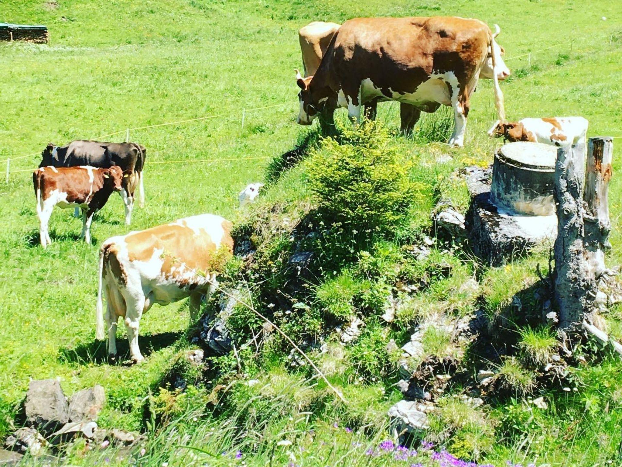 Foto 17 - Appartamento con 2 camere da letto a Adelboden