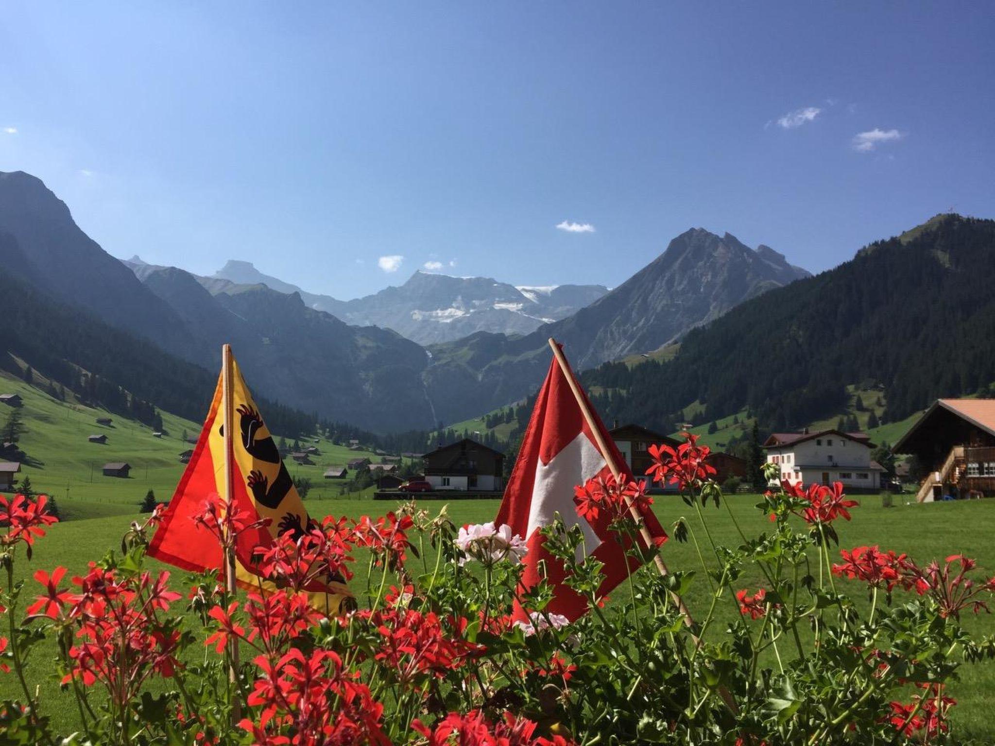 Foto 8 - Appartamento con 2 camere da letto a Adelboden