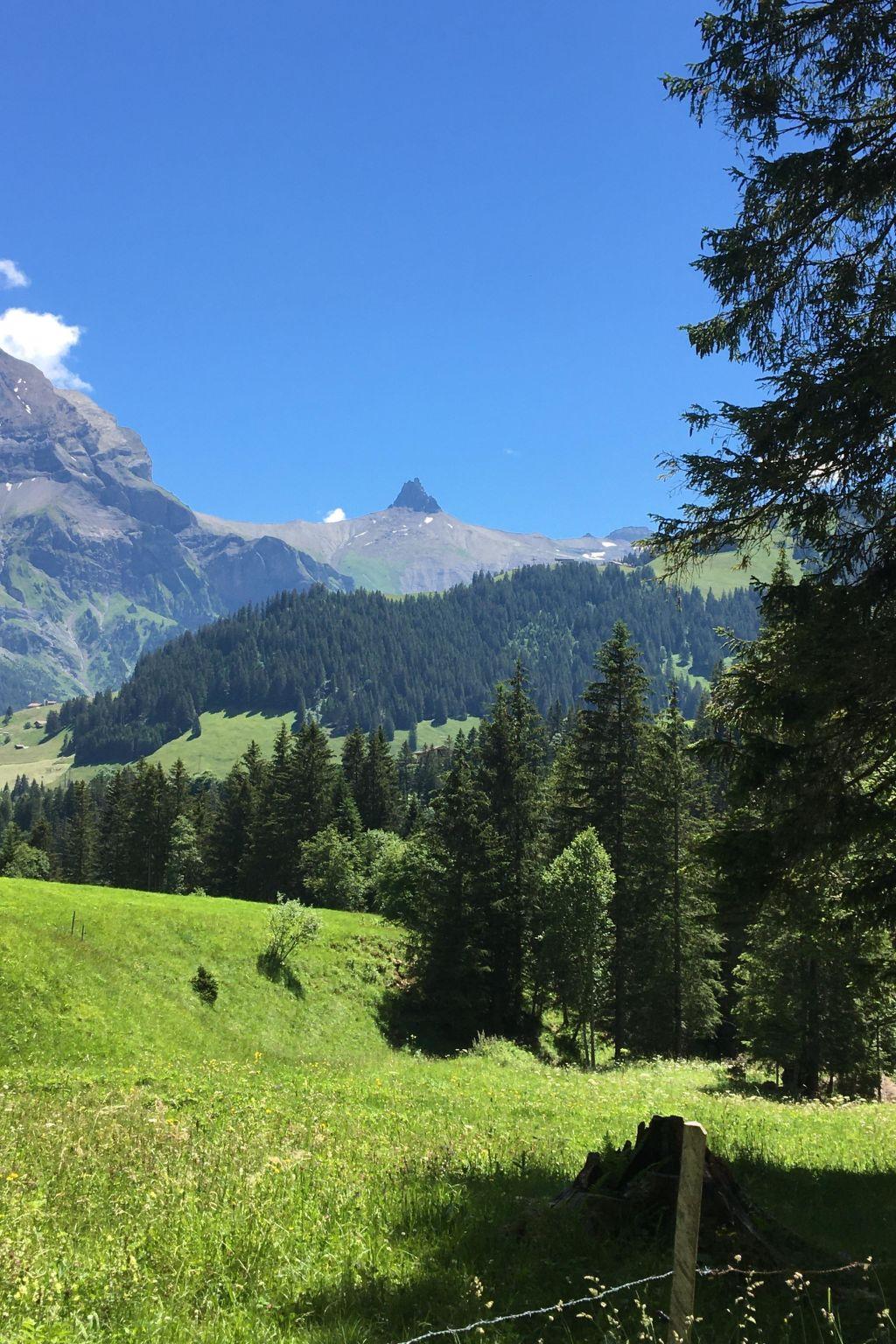 Foto 25 - Appartamento con 2 camere da letto a Adelboden