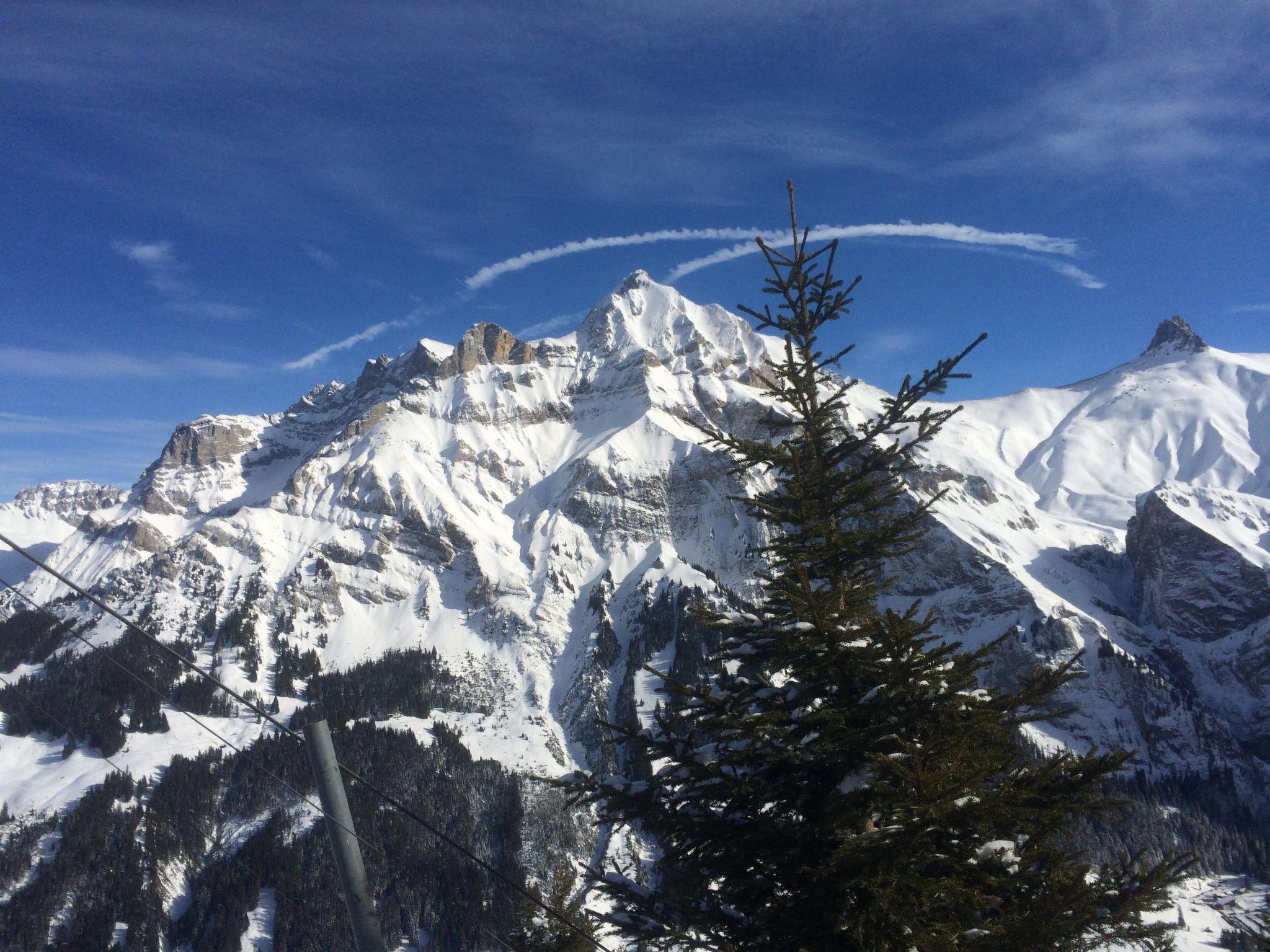 Photo 38 - 2 bedroom Apartment in Adelboden