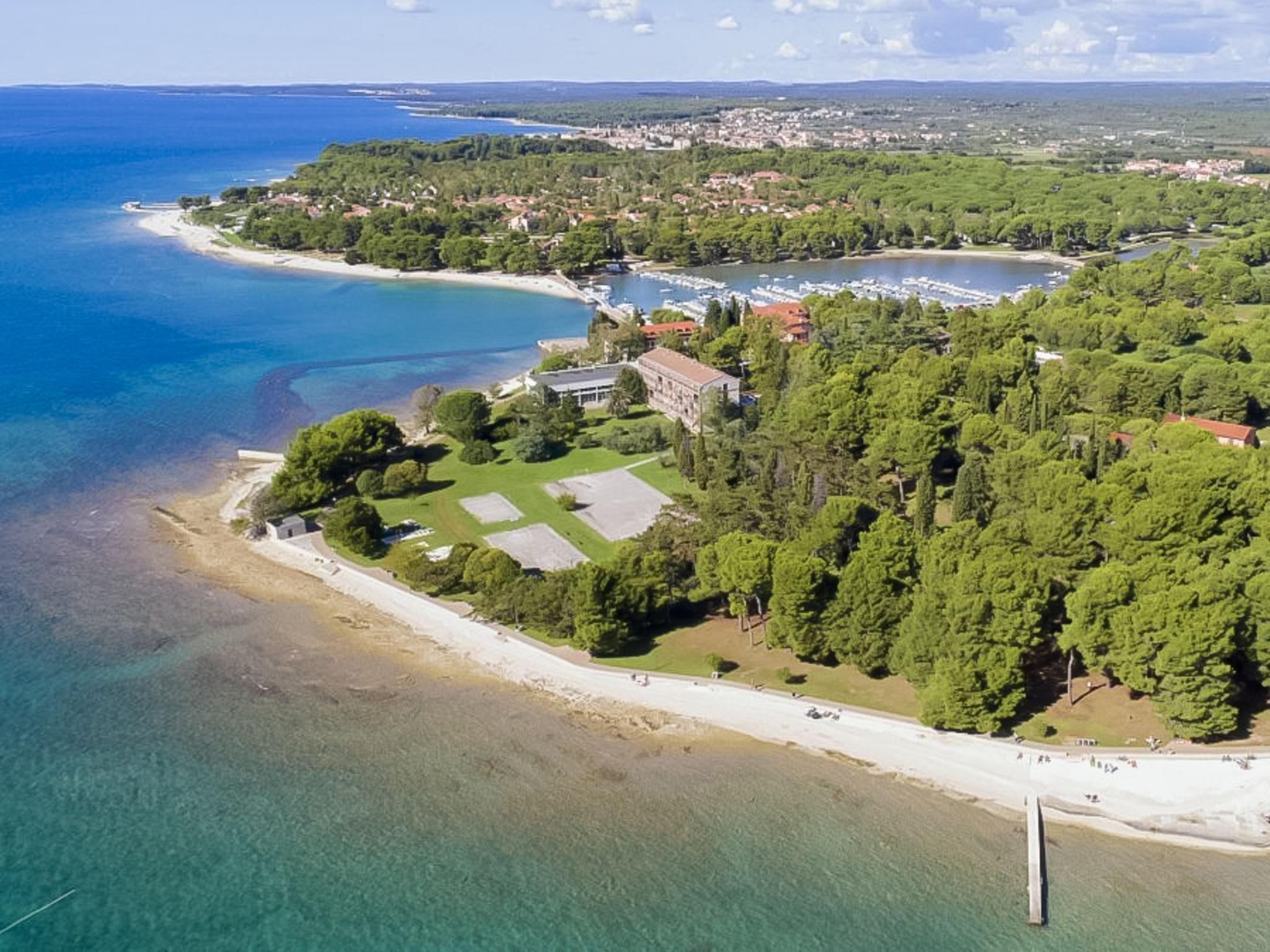 Foto 28 - Casa con 3 camere da letto a Raša con piscina privata e vista mare