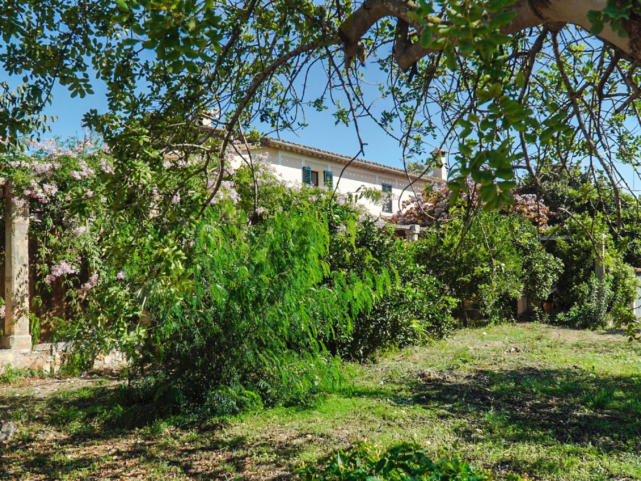 Foto 44 - Casa con 4 camere da letto a Palma con piscina privata e giardino