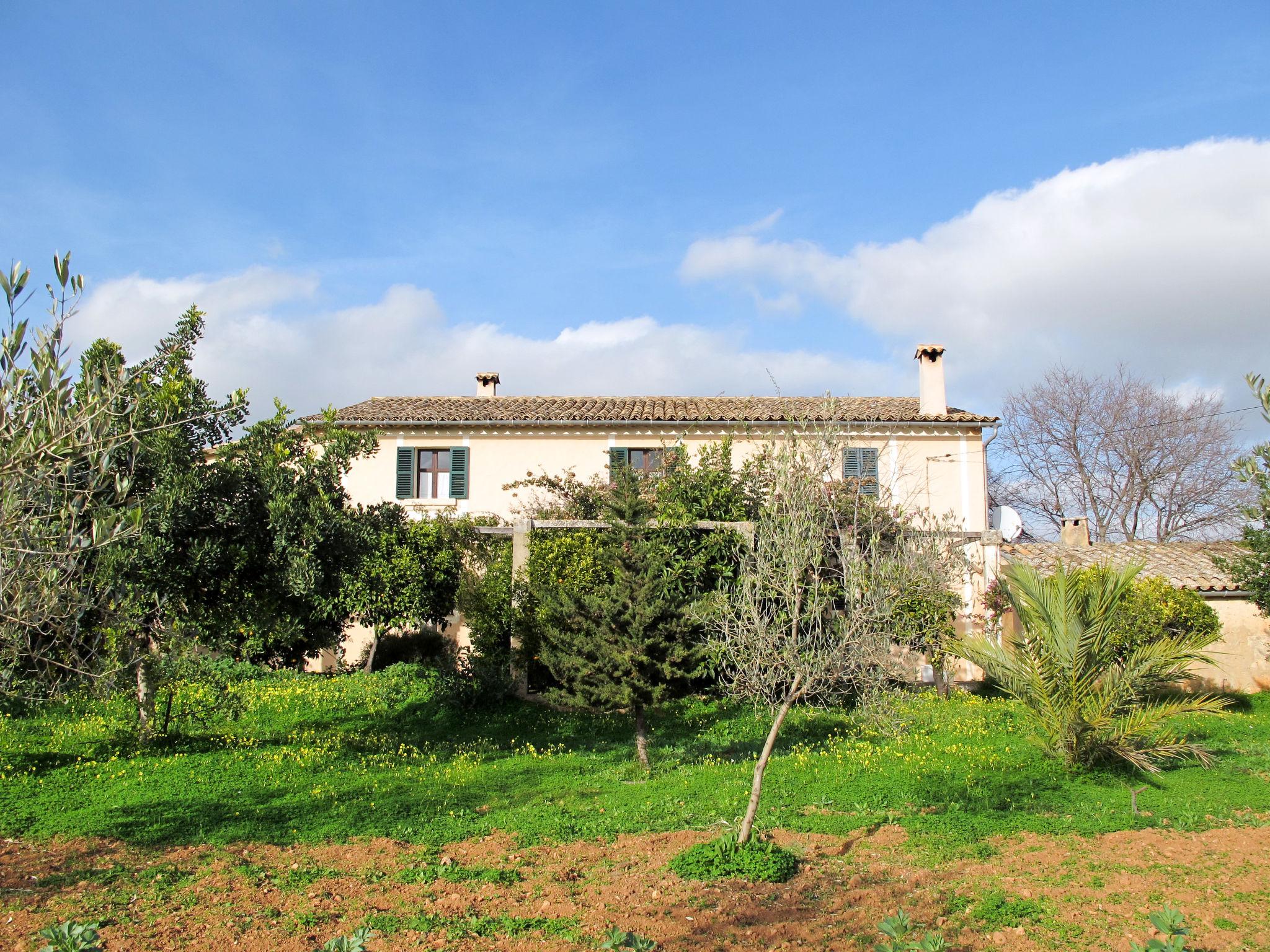 Foto 41 - Casa con 4 camere da letto a Palma con piscina privata e giardino