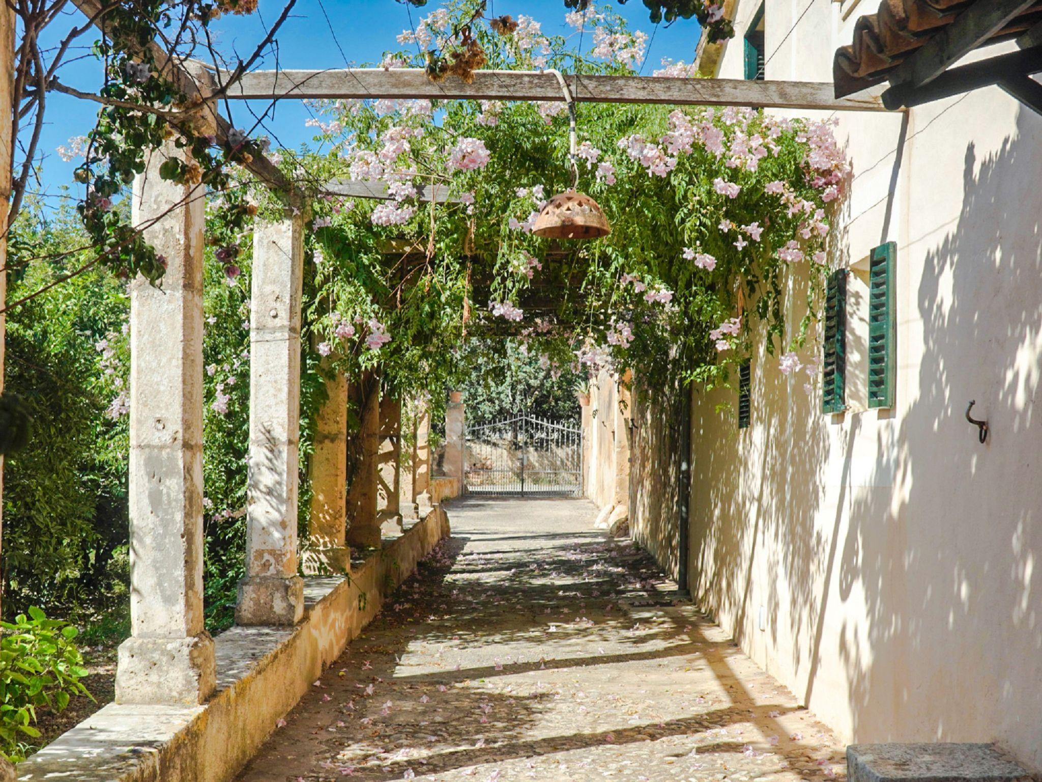 Photo 37 - Maison de 4 chambres à Palma avec piscine privée et jardin