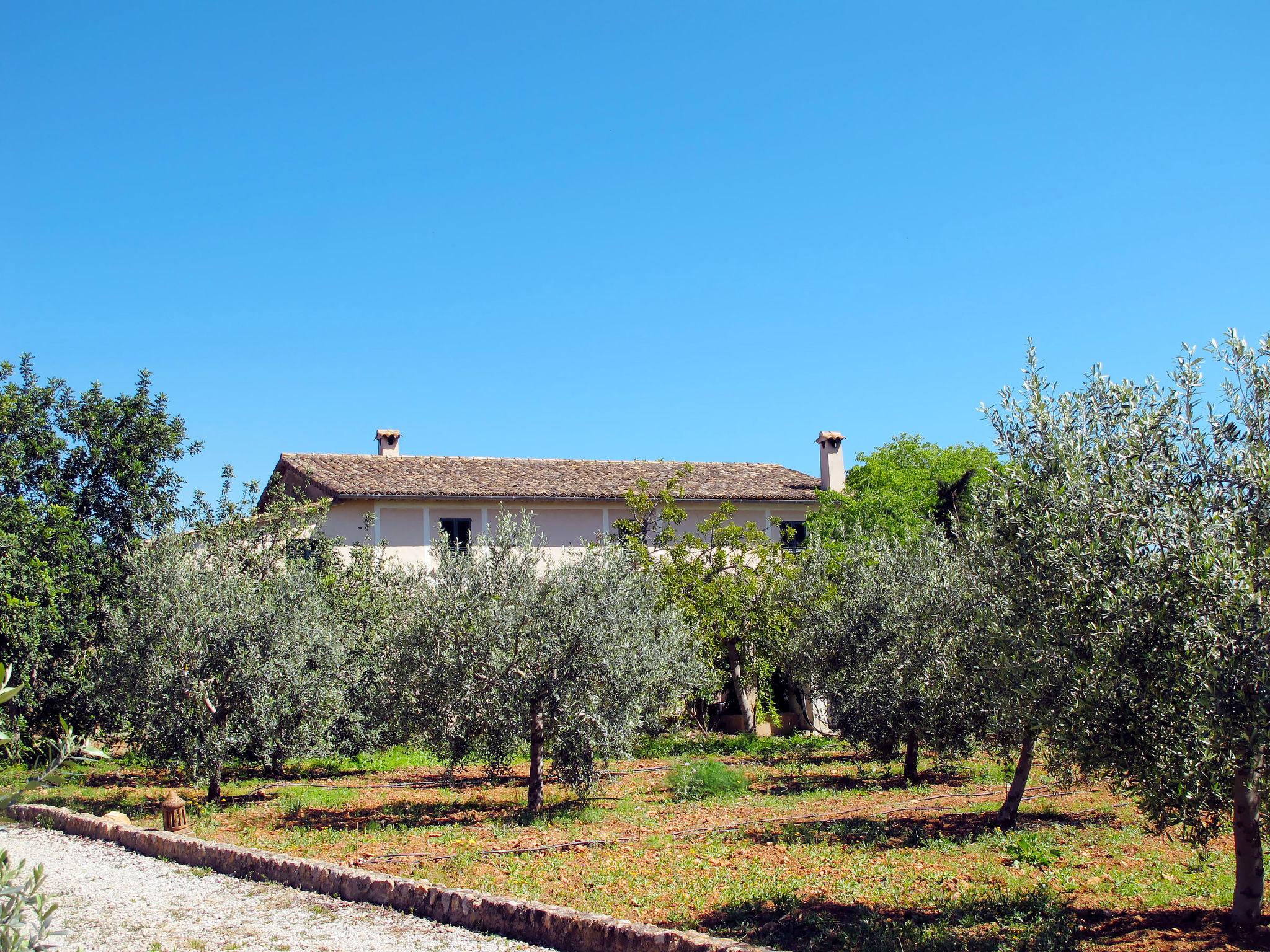 Foto 42 - Casa con 4 camere da letto a Palma con piscina privata e giardino