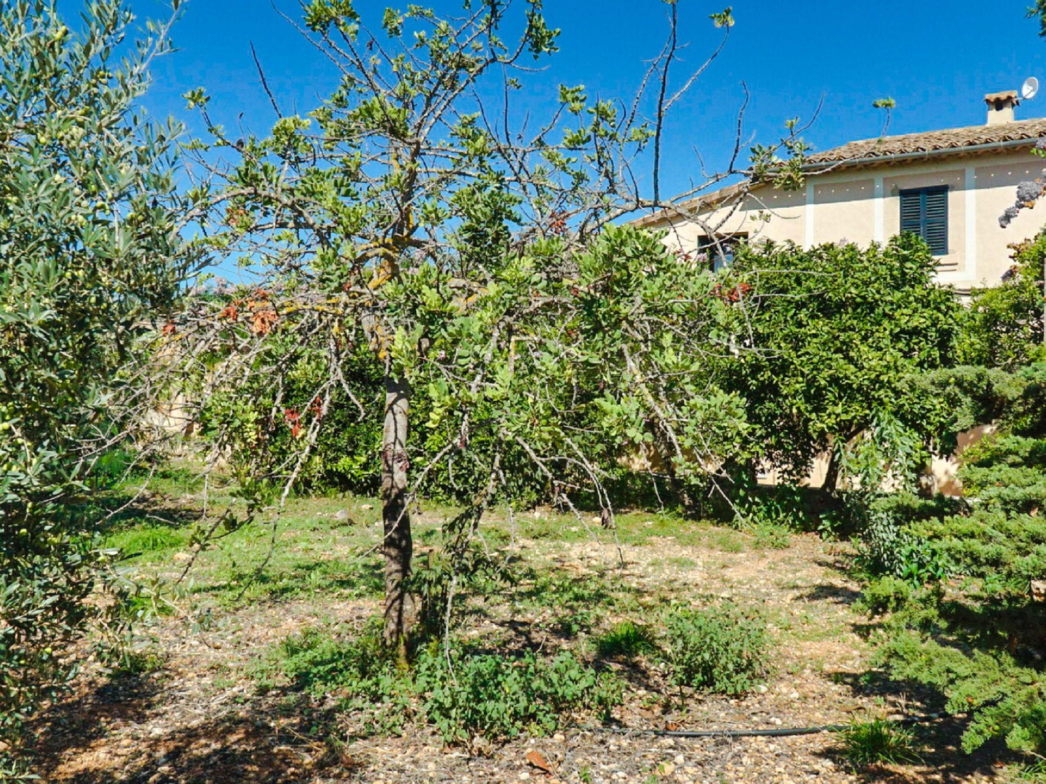 Foto 43 - Casa con 4 camere da letto a Palma con piscina privata e giardino