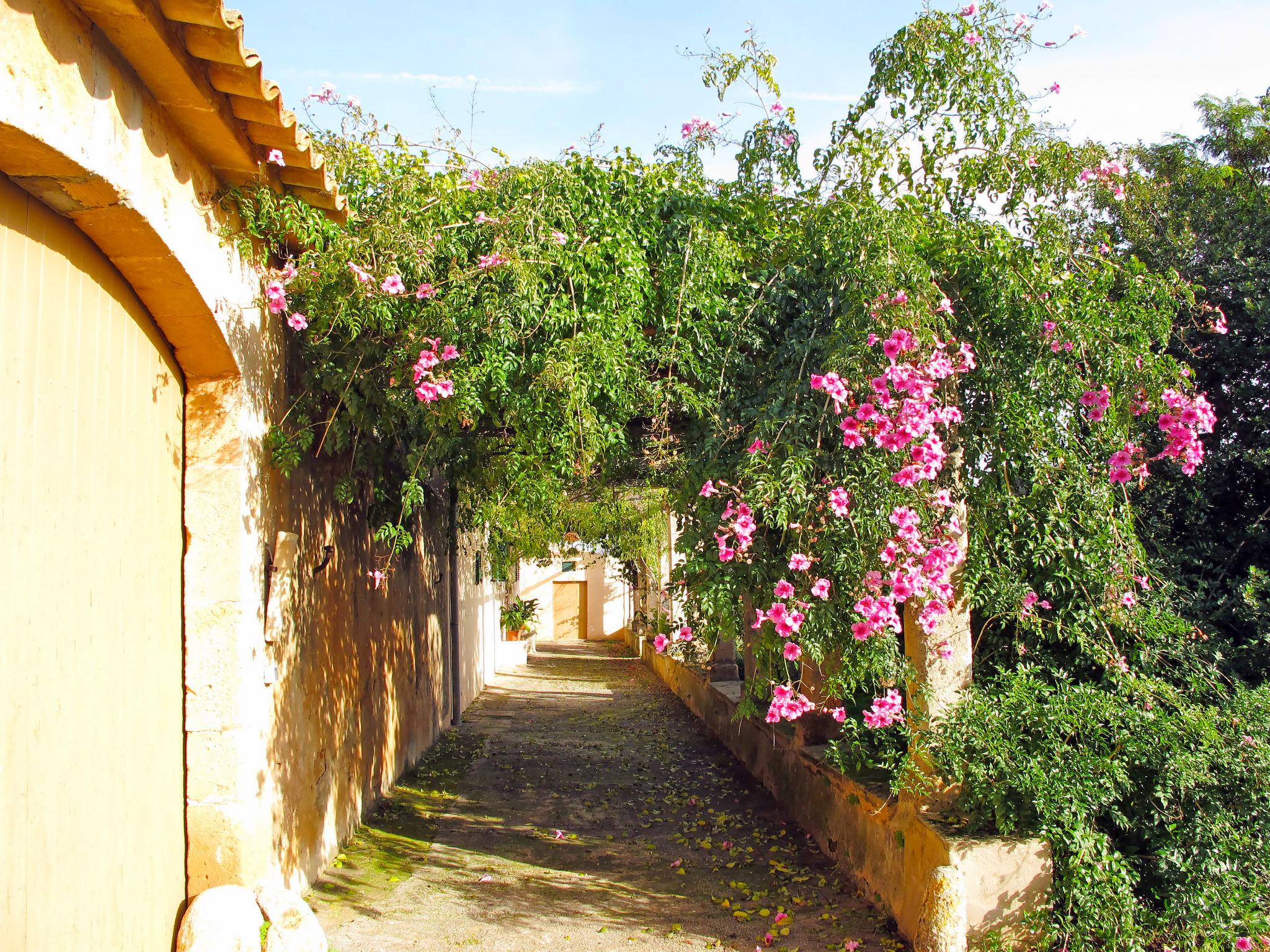 Foto 40 - Casa con 4 camere da letto a Palma con piscina privata e giardino