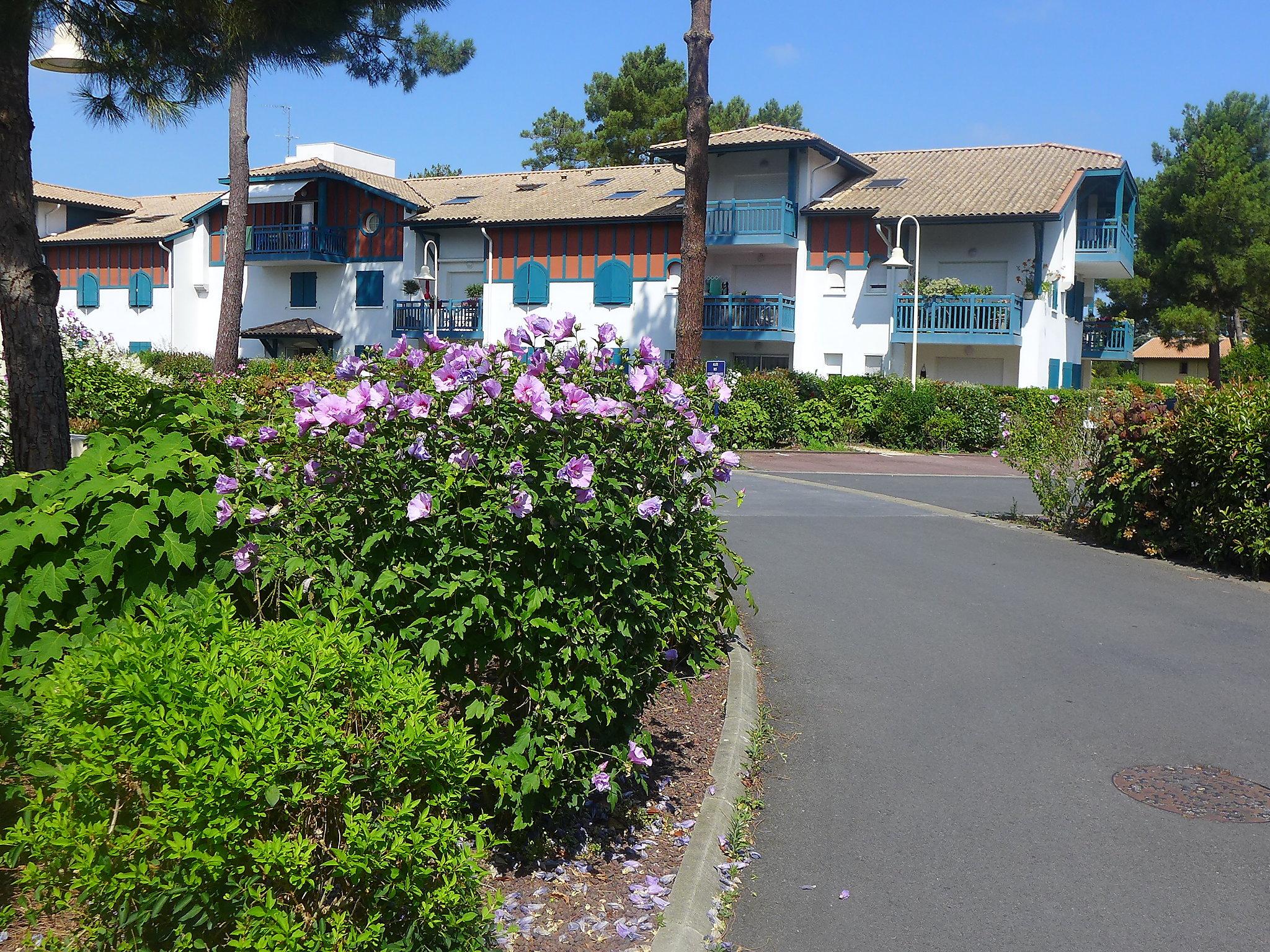 Foto 11 - Apartment mit 1 Schlafzimmer in Capbreton mit blick aufs meer